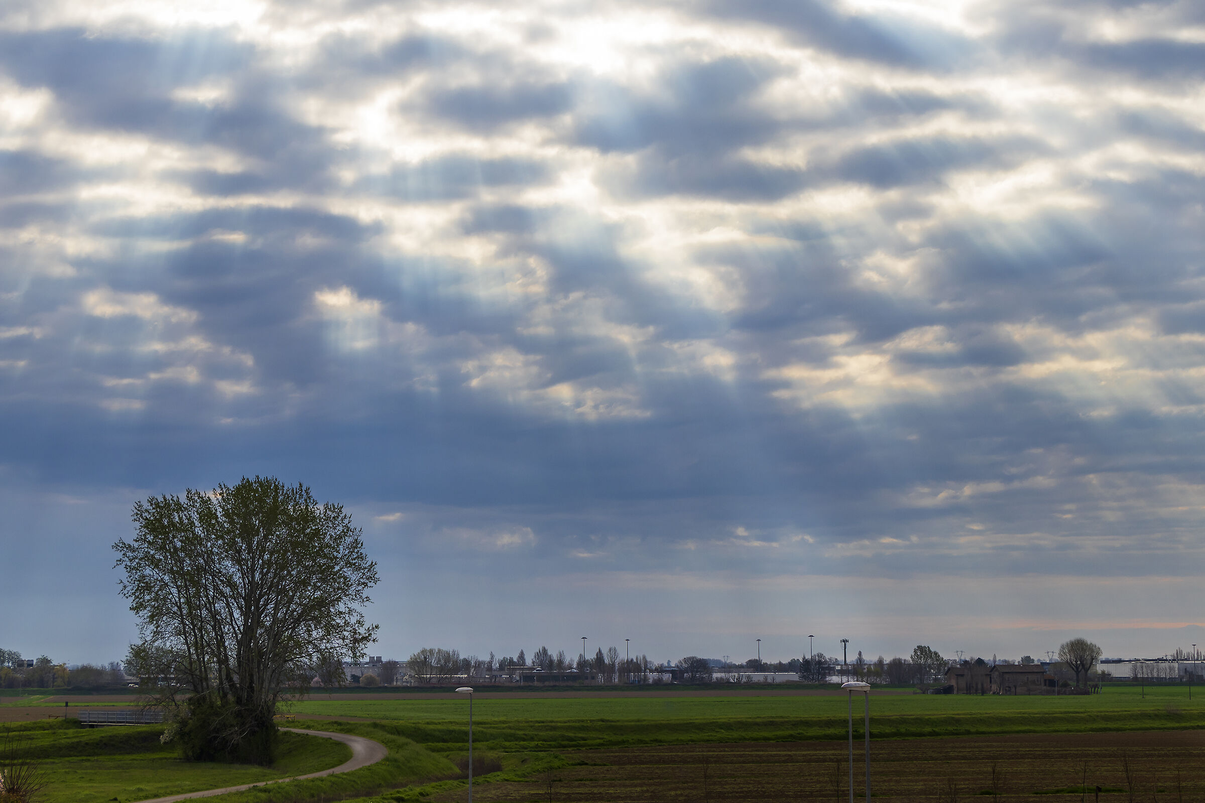from the window