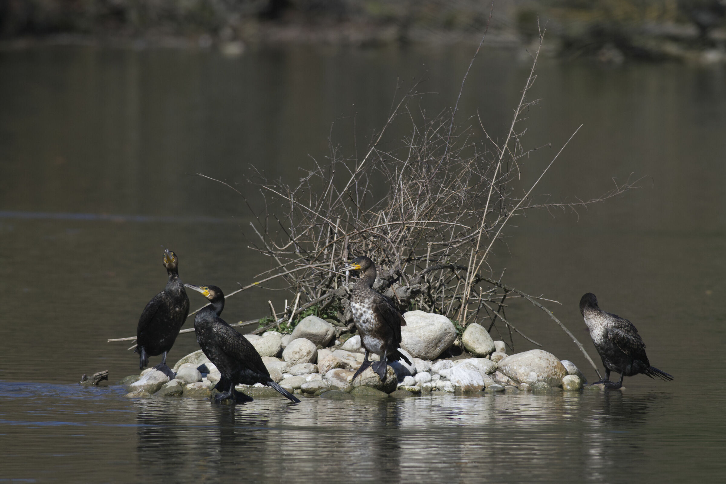 C'è spazio per tutti.....