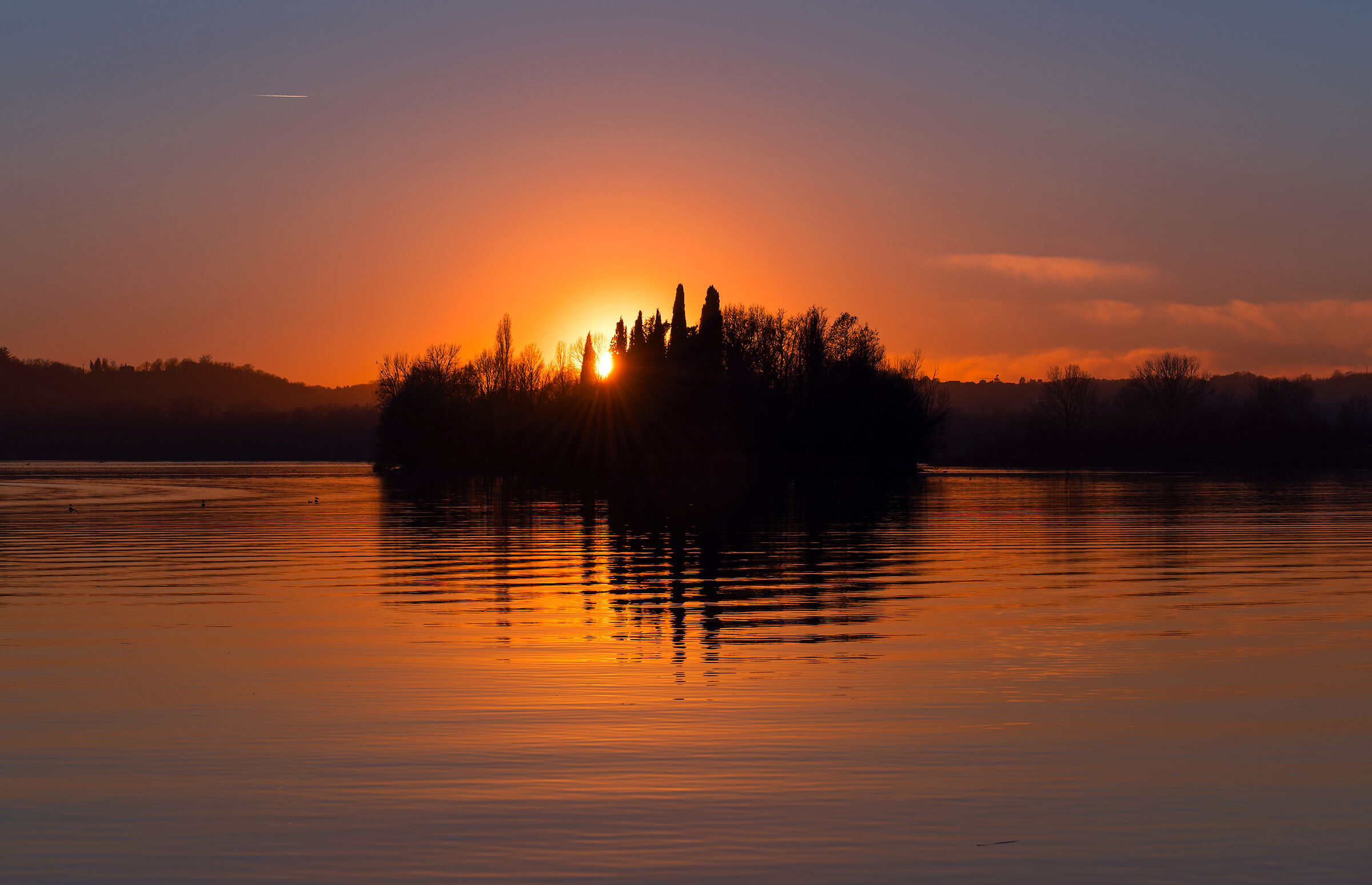 isola dei cipressi (lago Pusiano - Co)