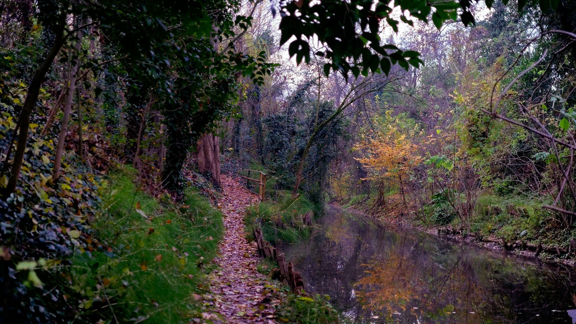 Campagna Veronese - Autunno 2022