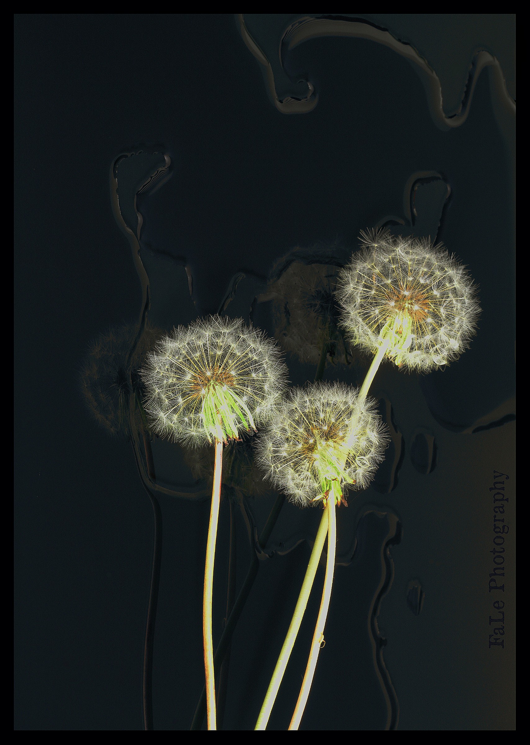 Welcome to Allergy Labs