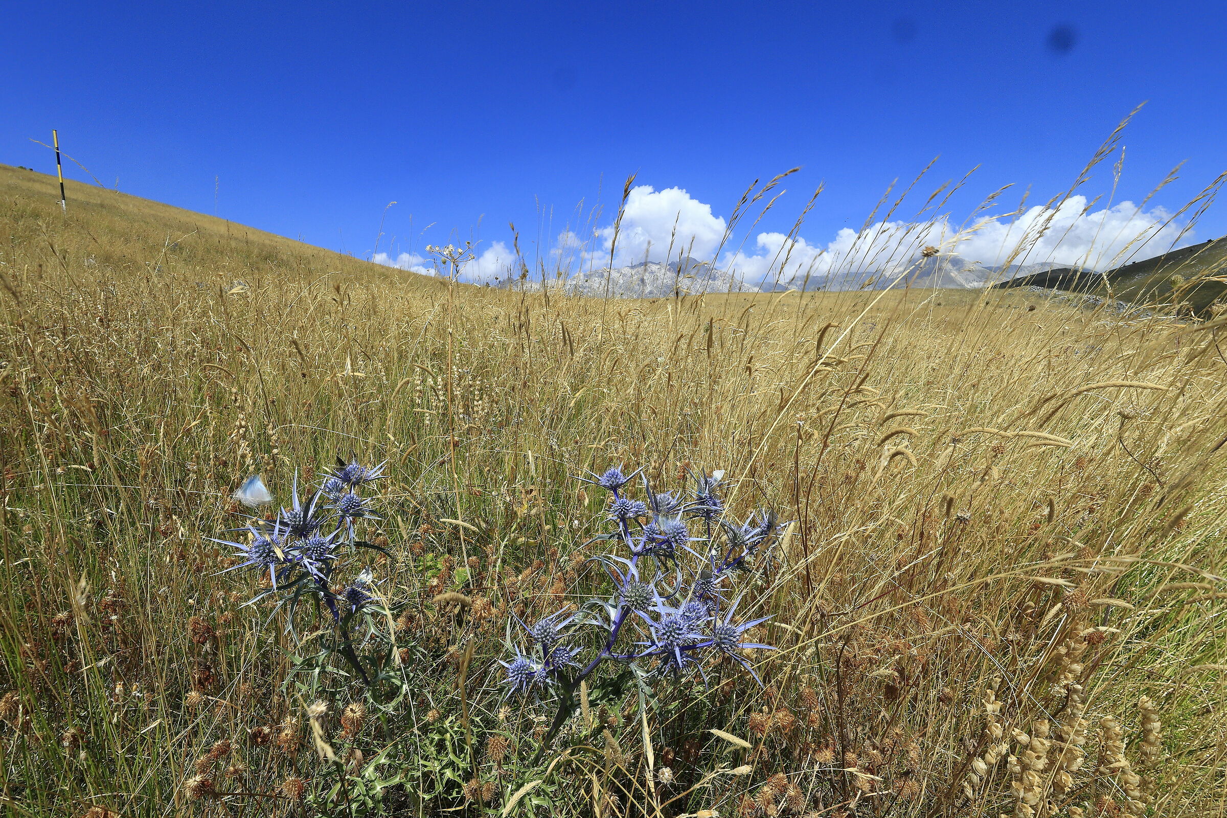 vallata di campo imperatore