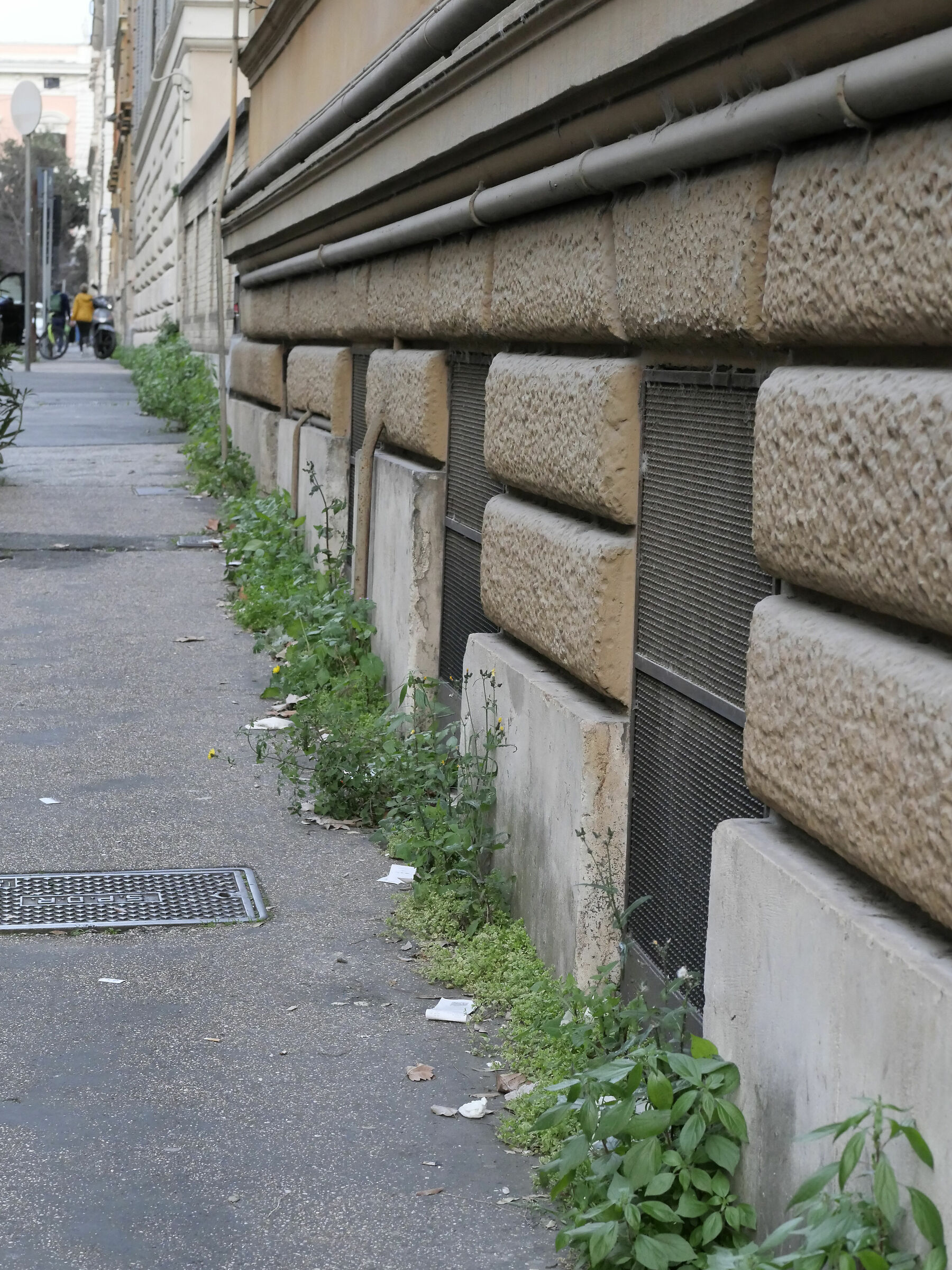 Via Liguria, erba comunale