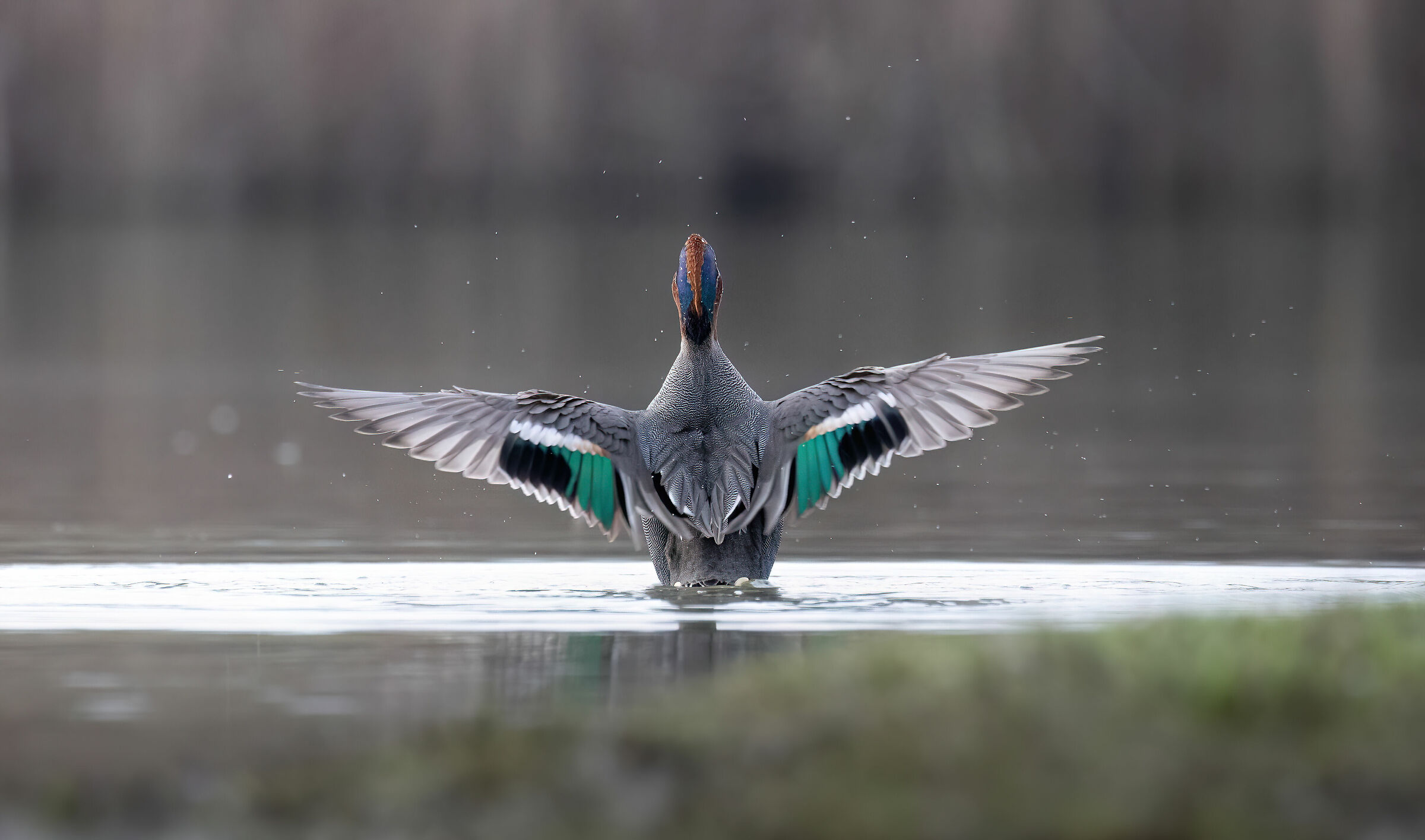 Wing mirror