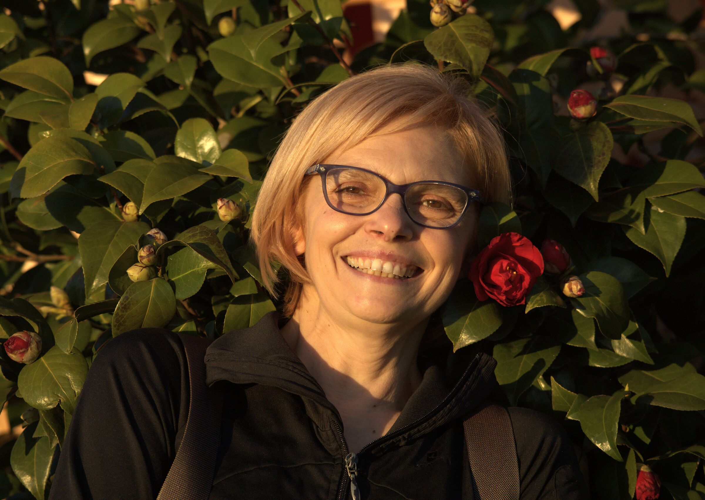 Norway04 among rosebuds