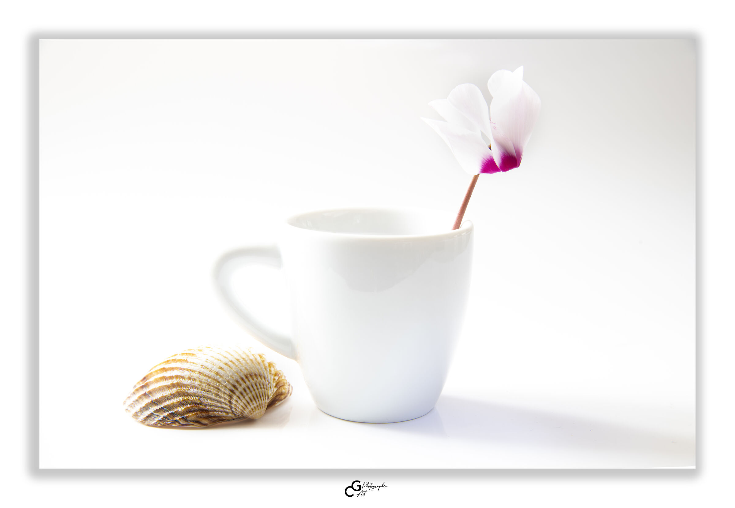 A try in High Light!