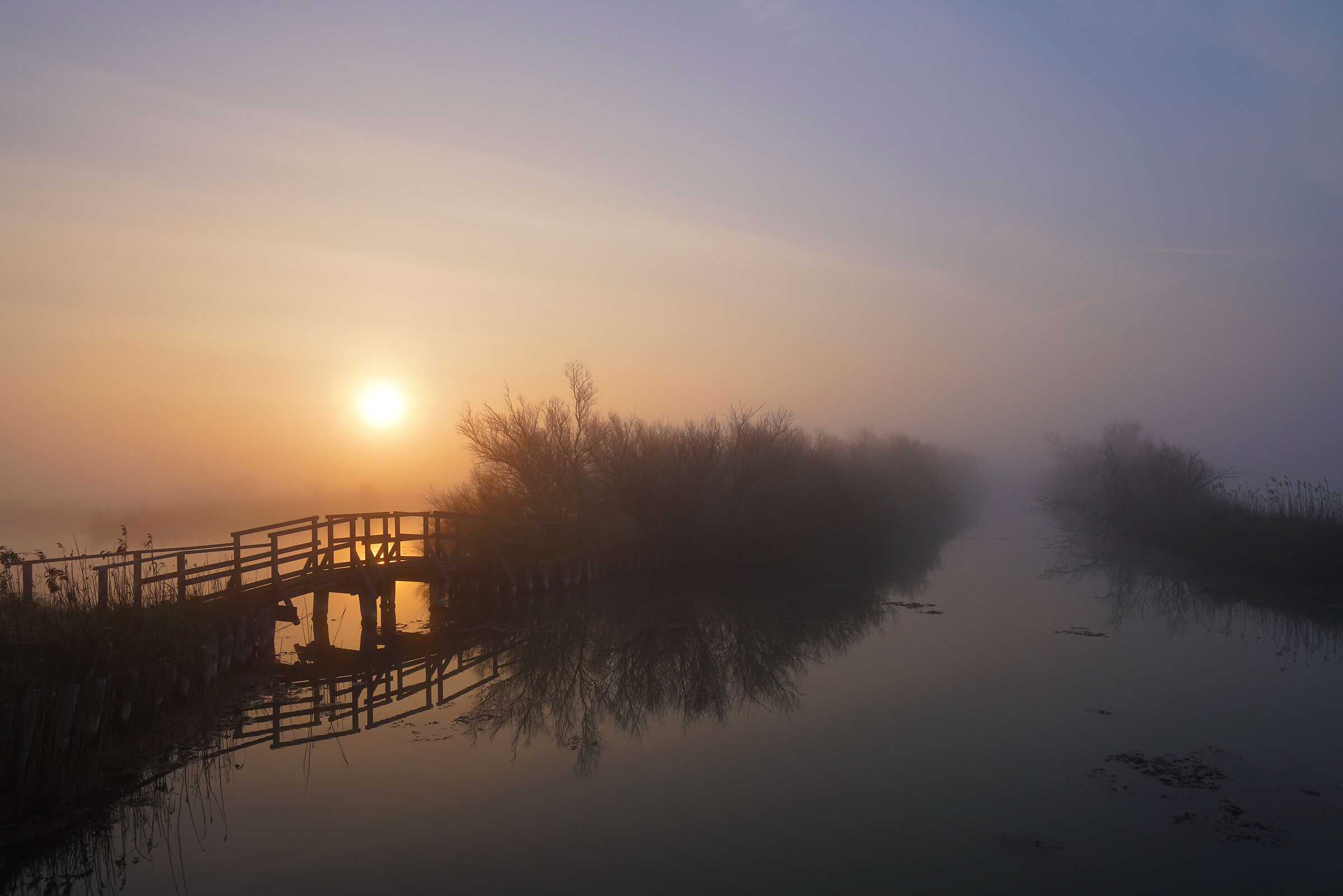 Alba all'oasi di Canneviè
