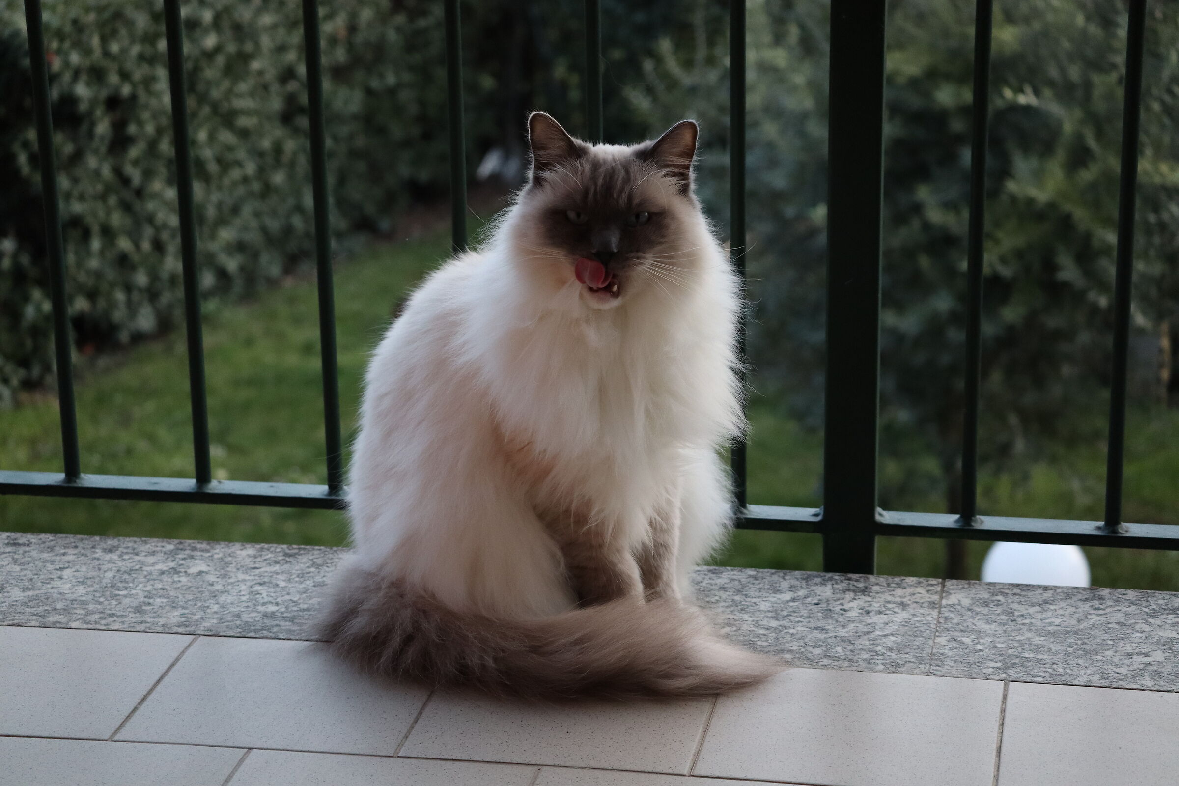 ...che cosa stai guardando?...