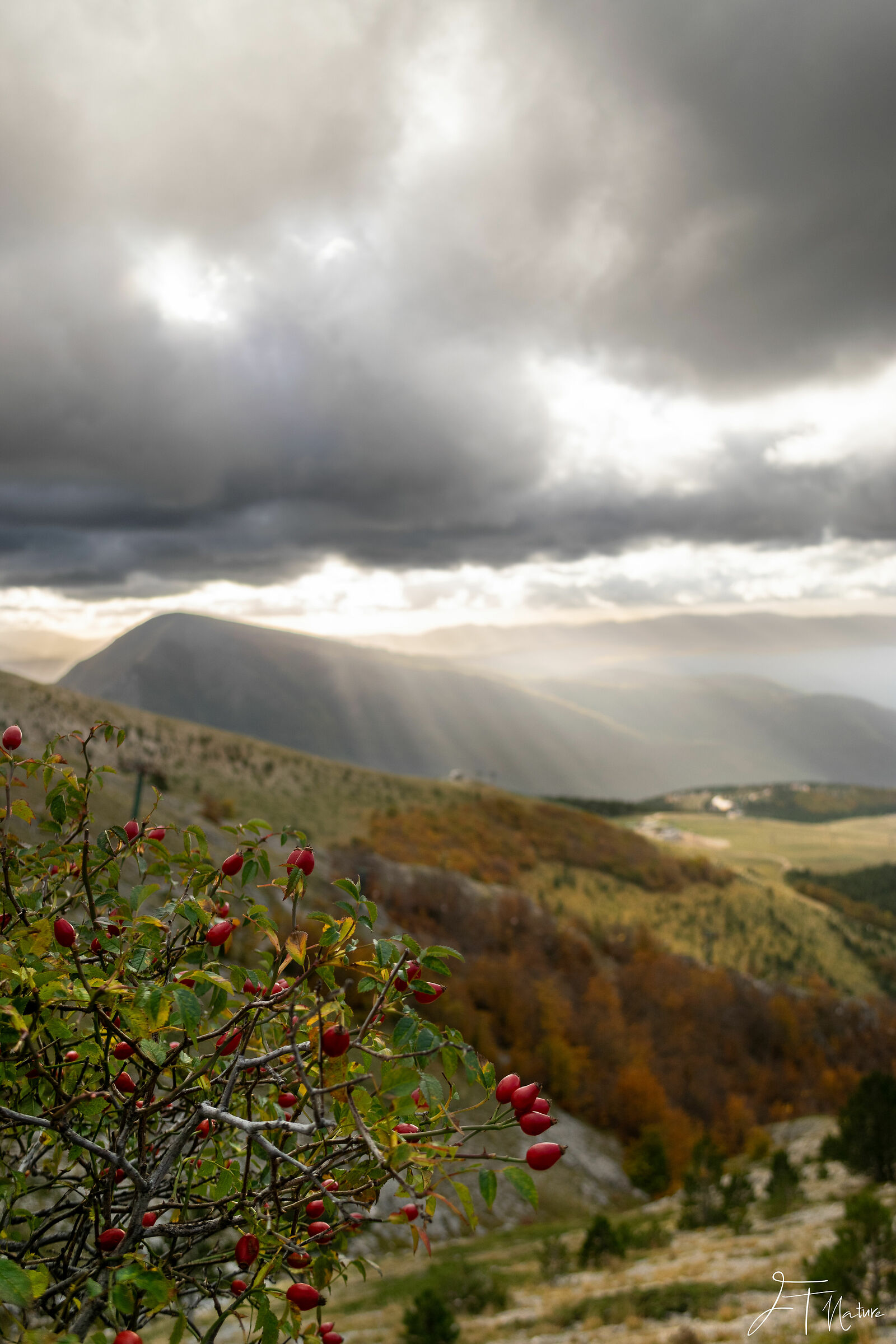 La calma prima della tempesta