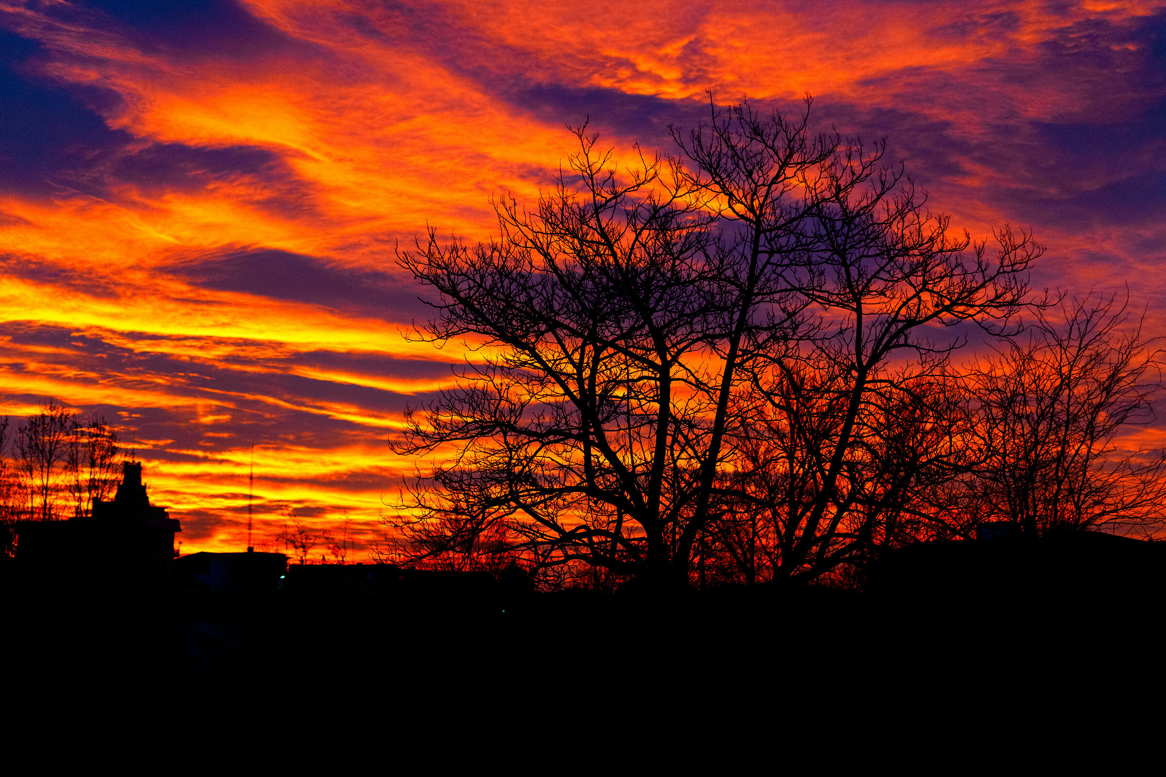 Alba a Fontanafredda