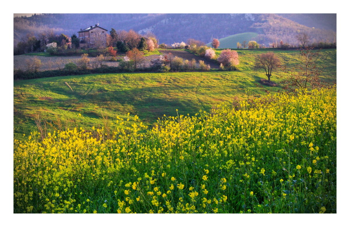 Impressions of Spring in my area