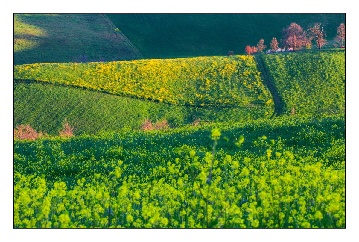 Impressions of Spring in my area