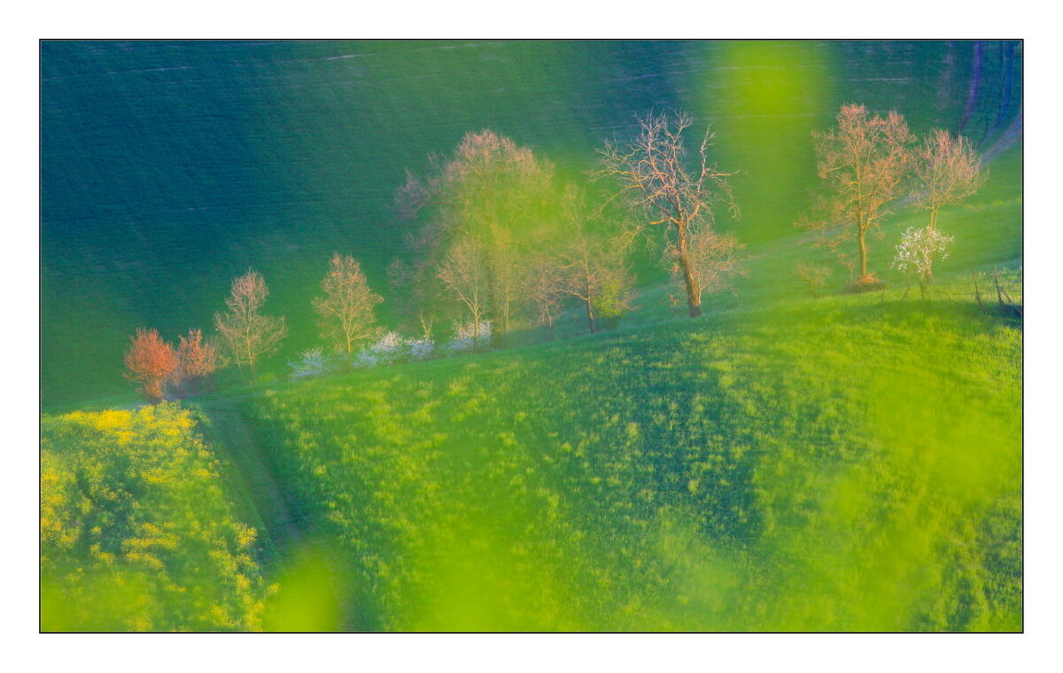 Impressions of Spring in my area