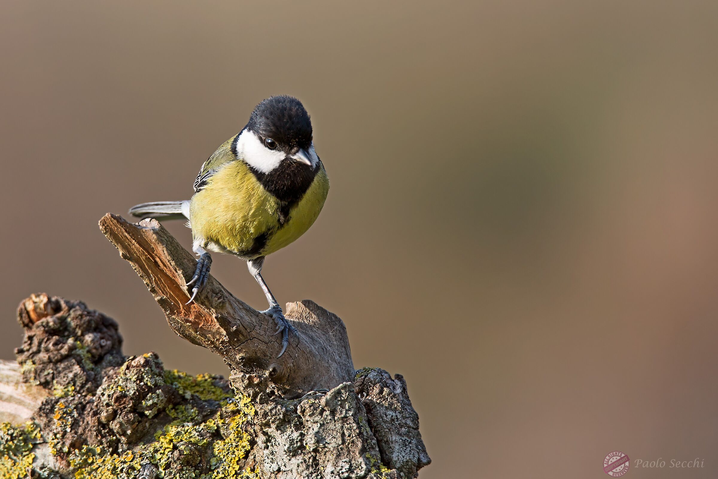 What's going on over there?