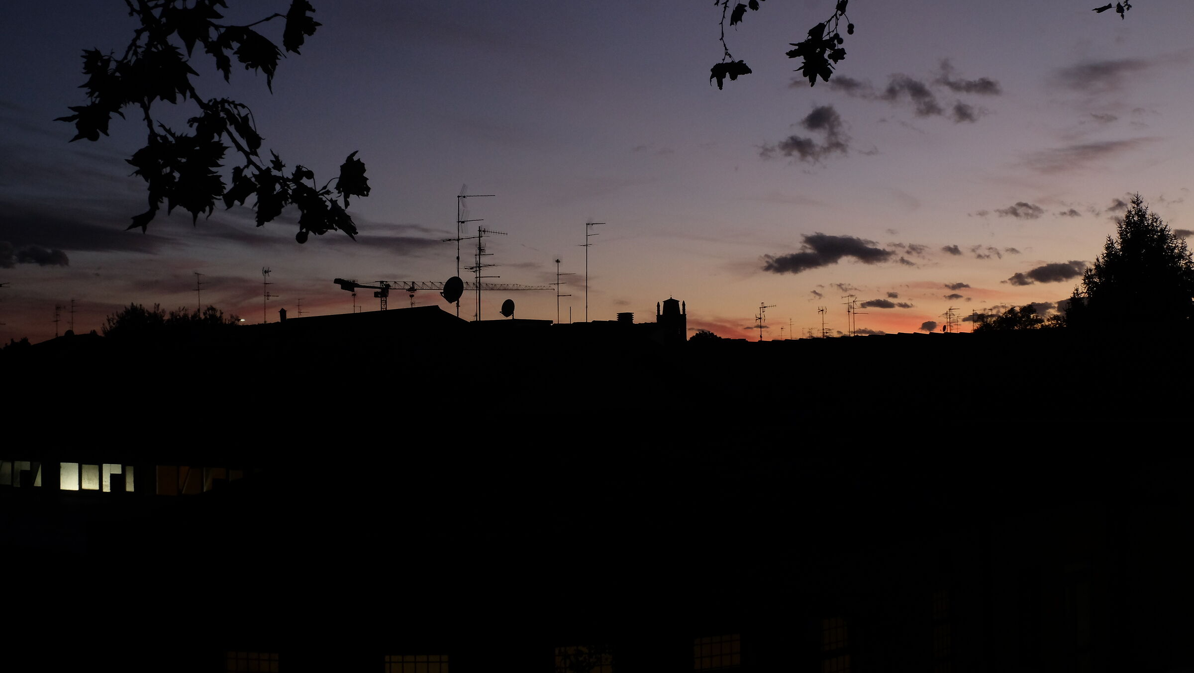 Fuji x-m1 - Ferrara novembre 2023