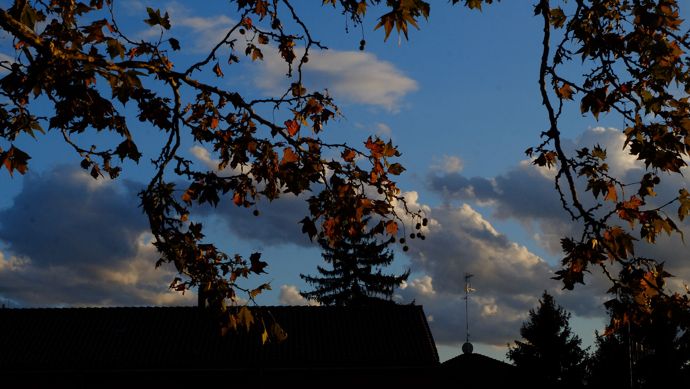 Fuji x-m1 - Ferrara novembre 2023