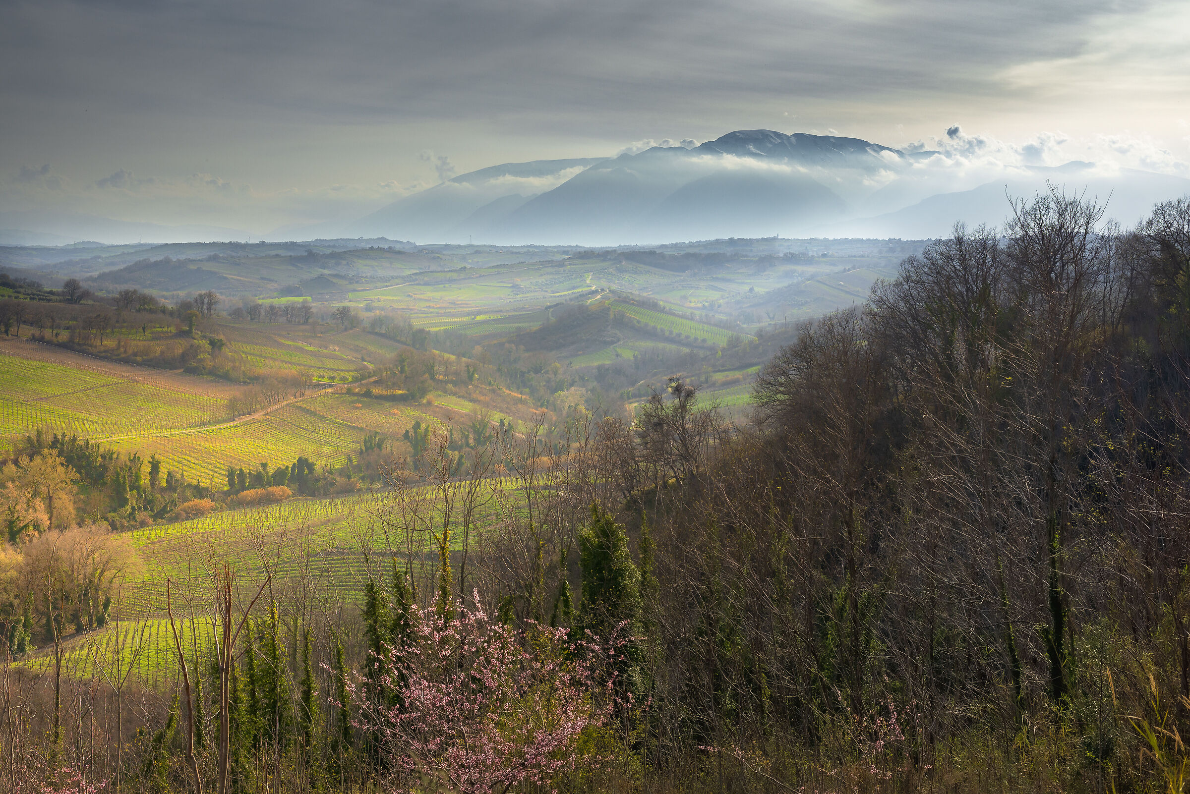 Tranquillità