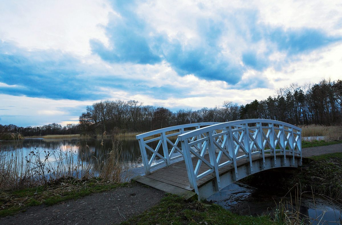 Millpond at Dieskau Park