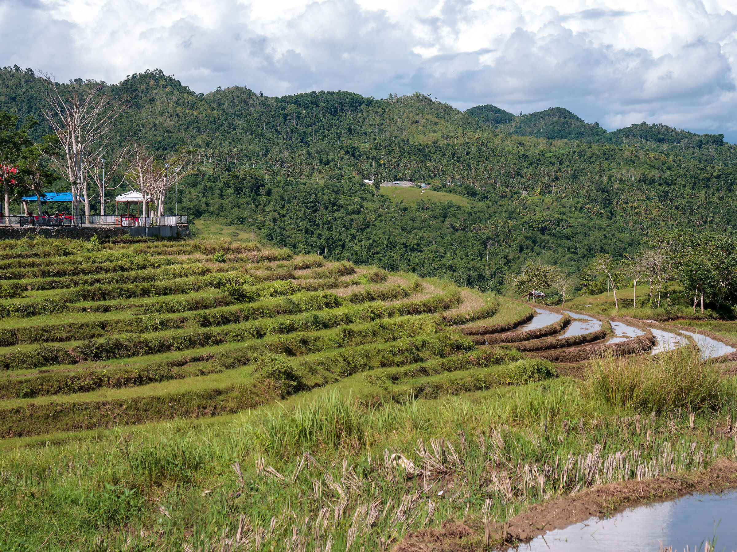 Filippine terrazzamenti 2