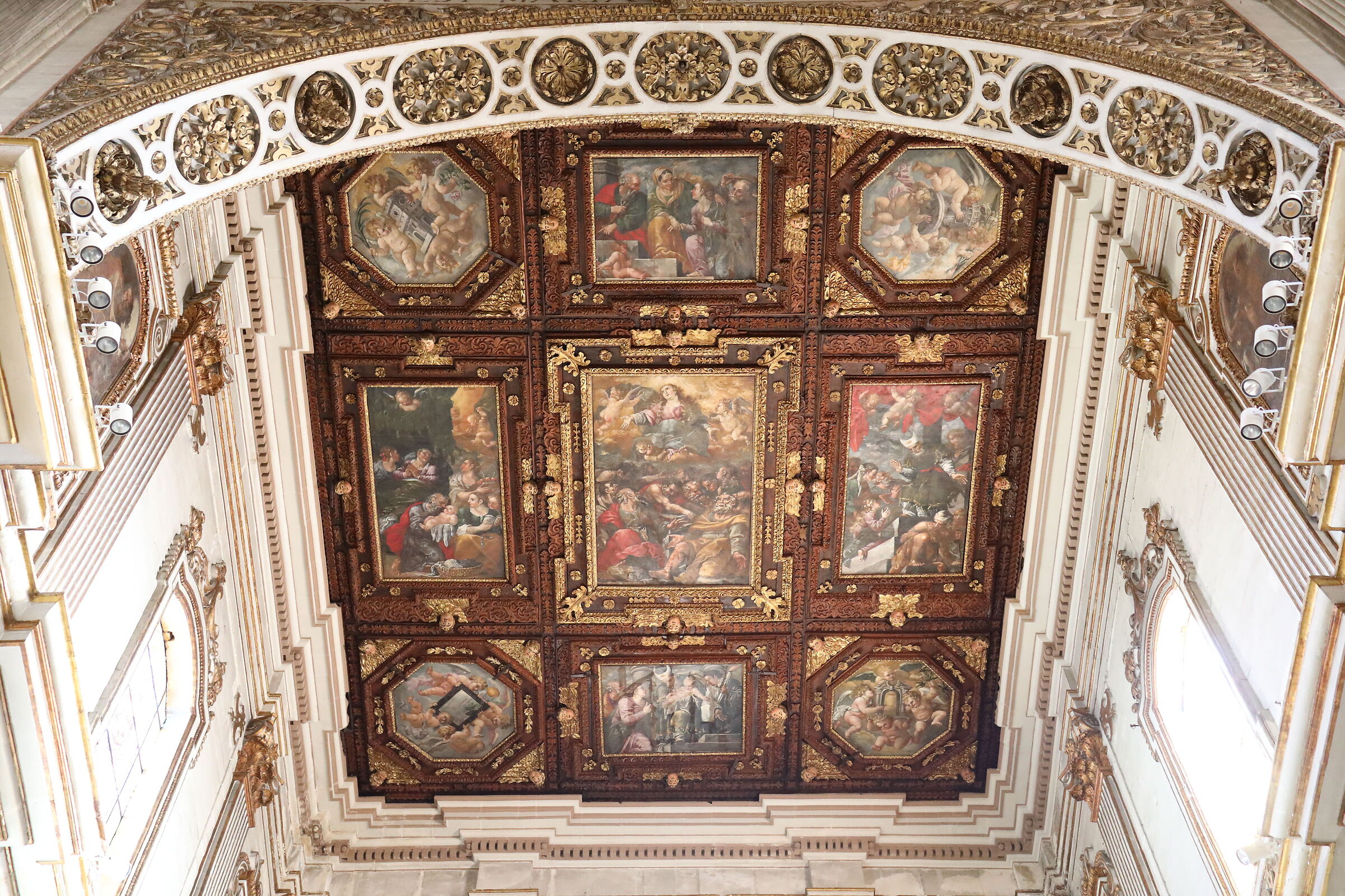 " ISO 6 Mila 400 " Canon 5 D IV - Milvuss Z. 50, 1.4