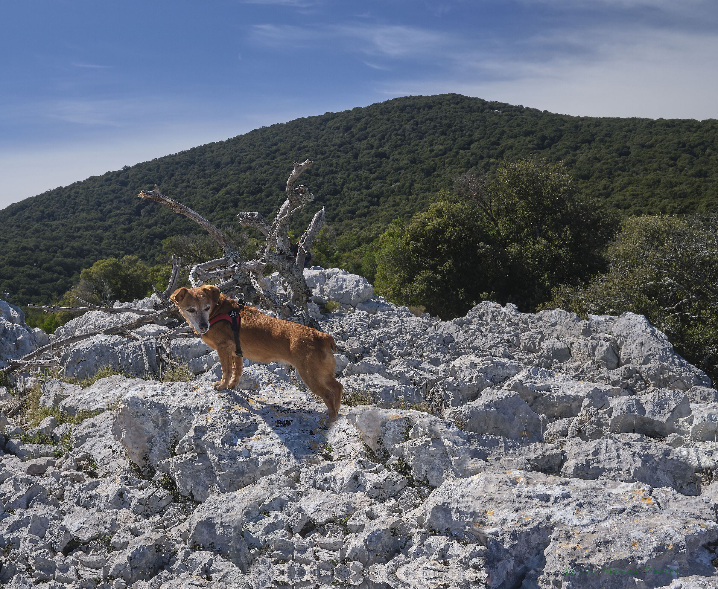 Supramonte of Orgosolo