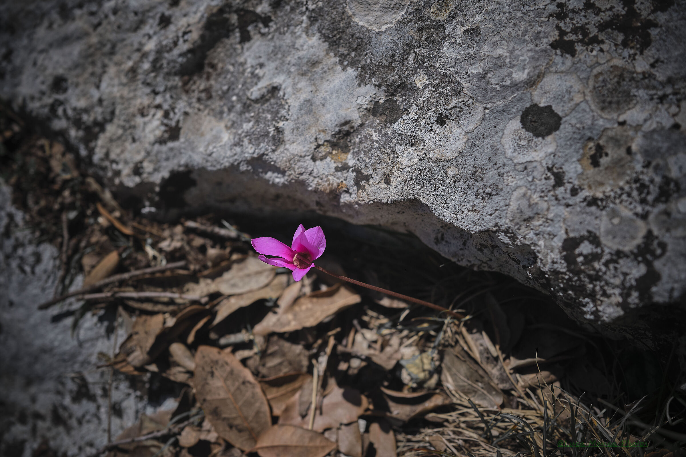 Supramonte of Orgosolo