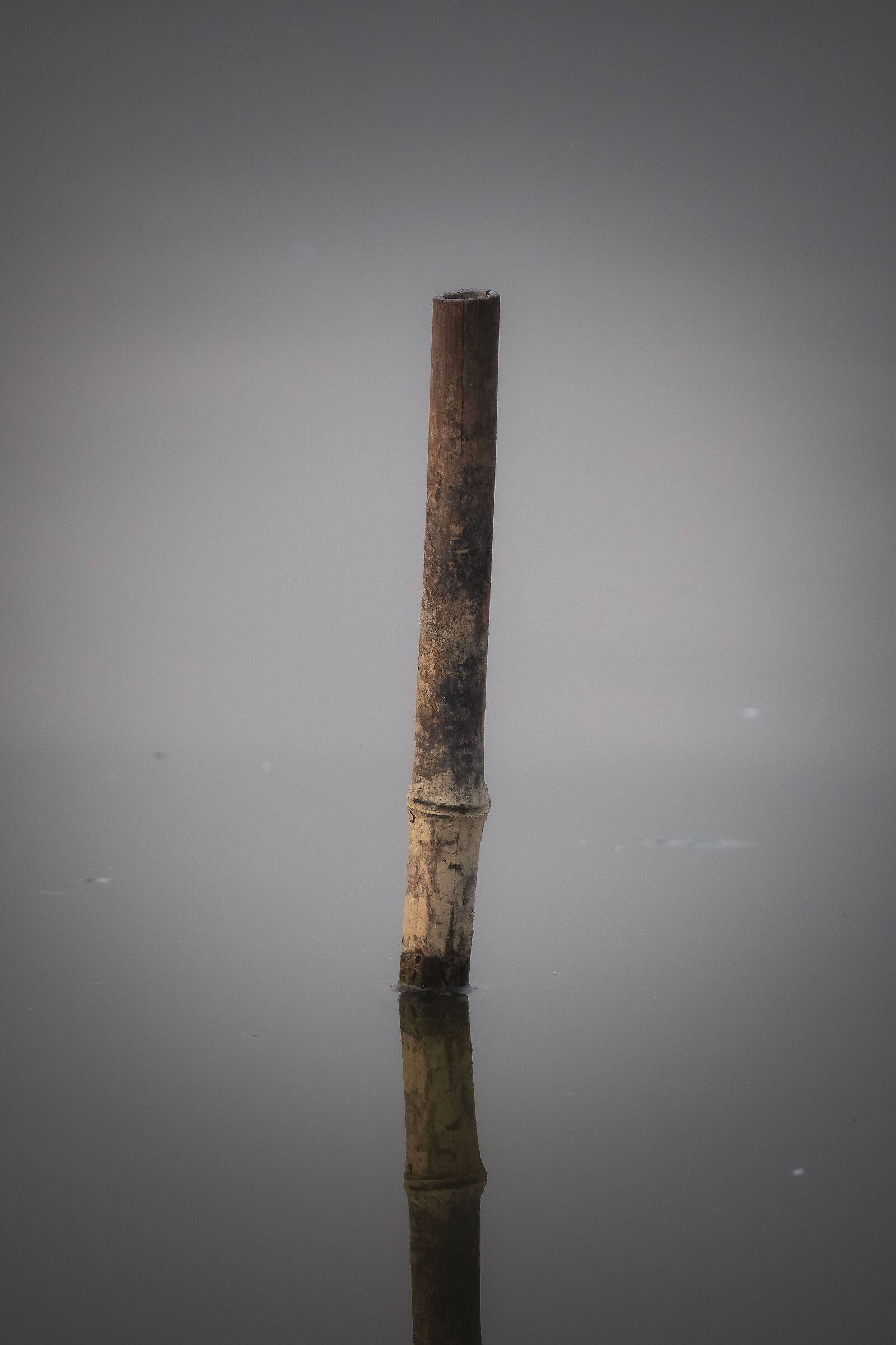 Zen