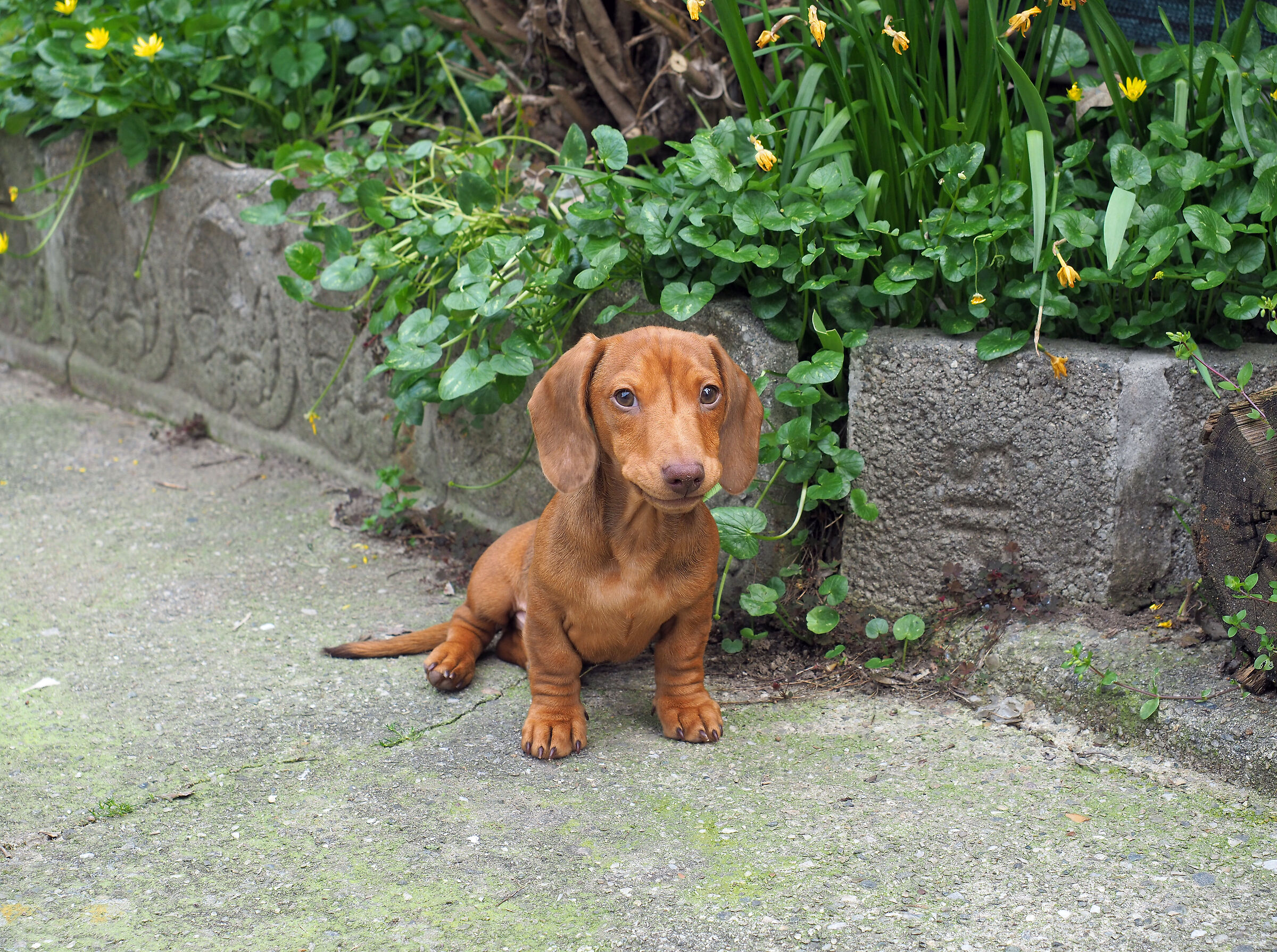 Teo il nuovo arrivato