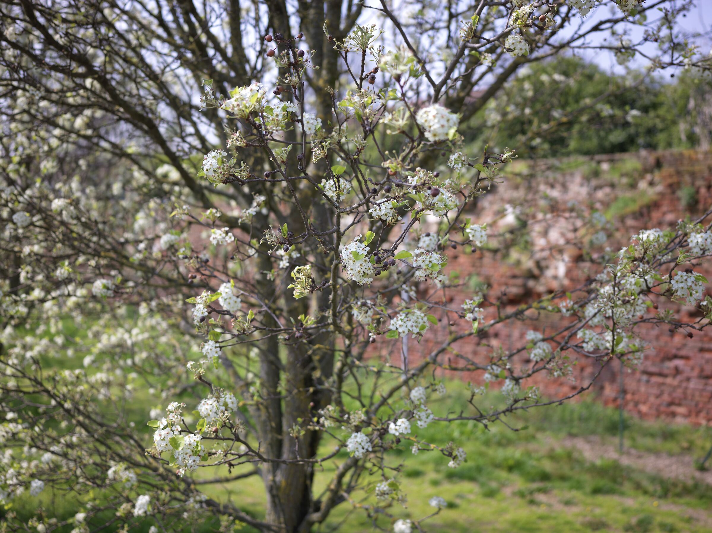 Welcome back spring!