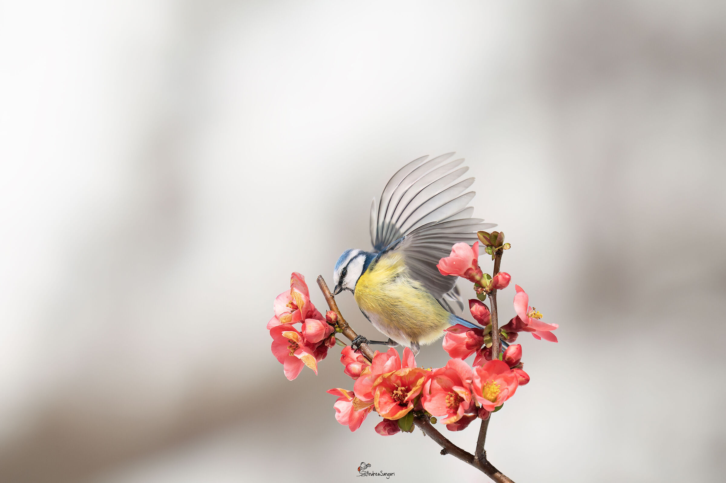 Spring is in the air....