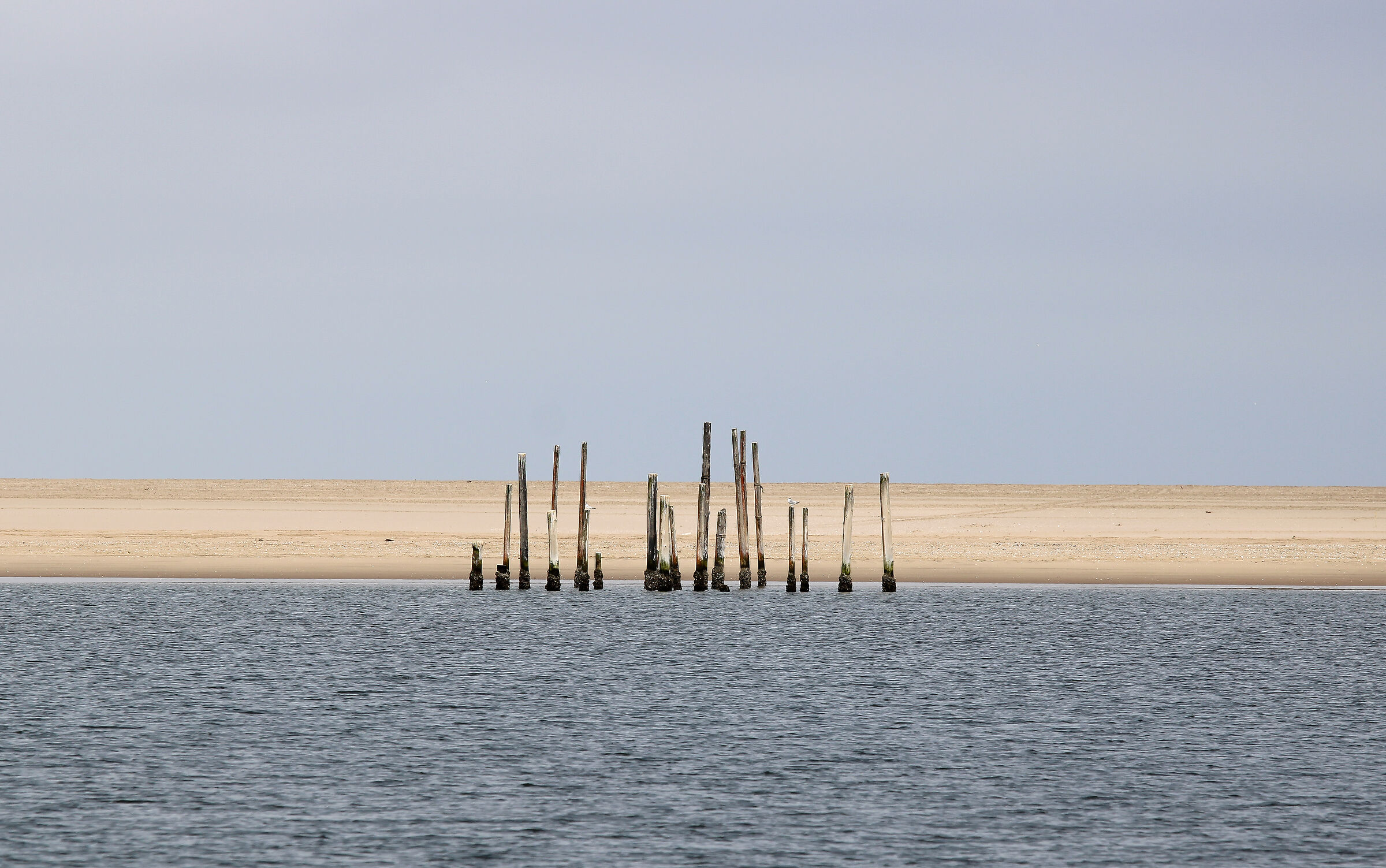 Walvis bay
