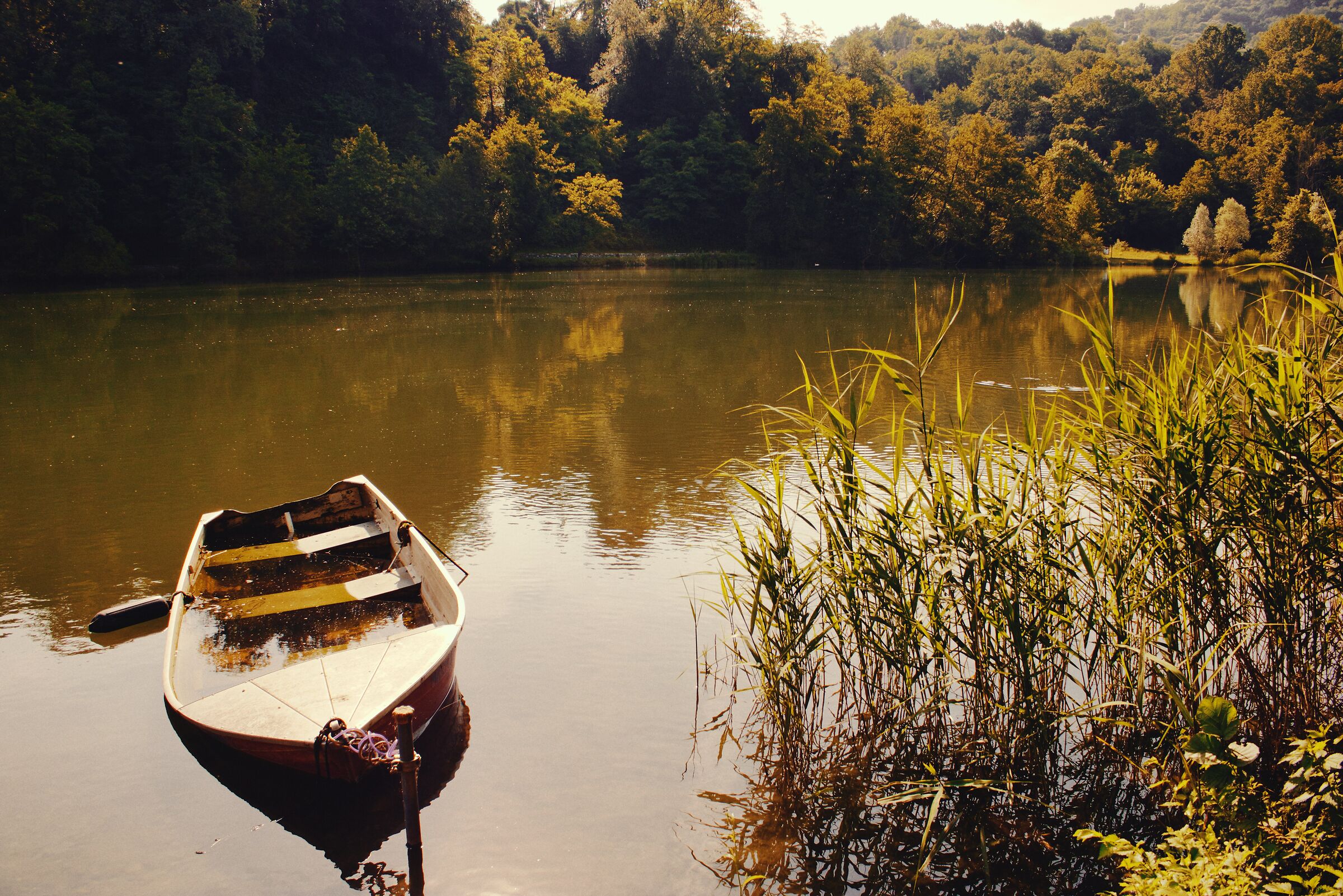 Adda River