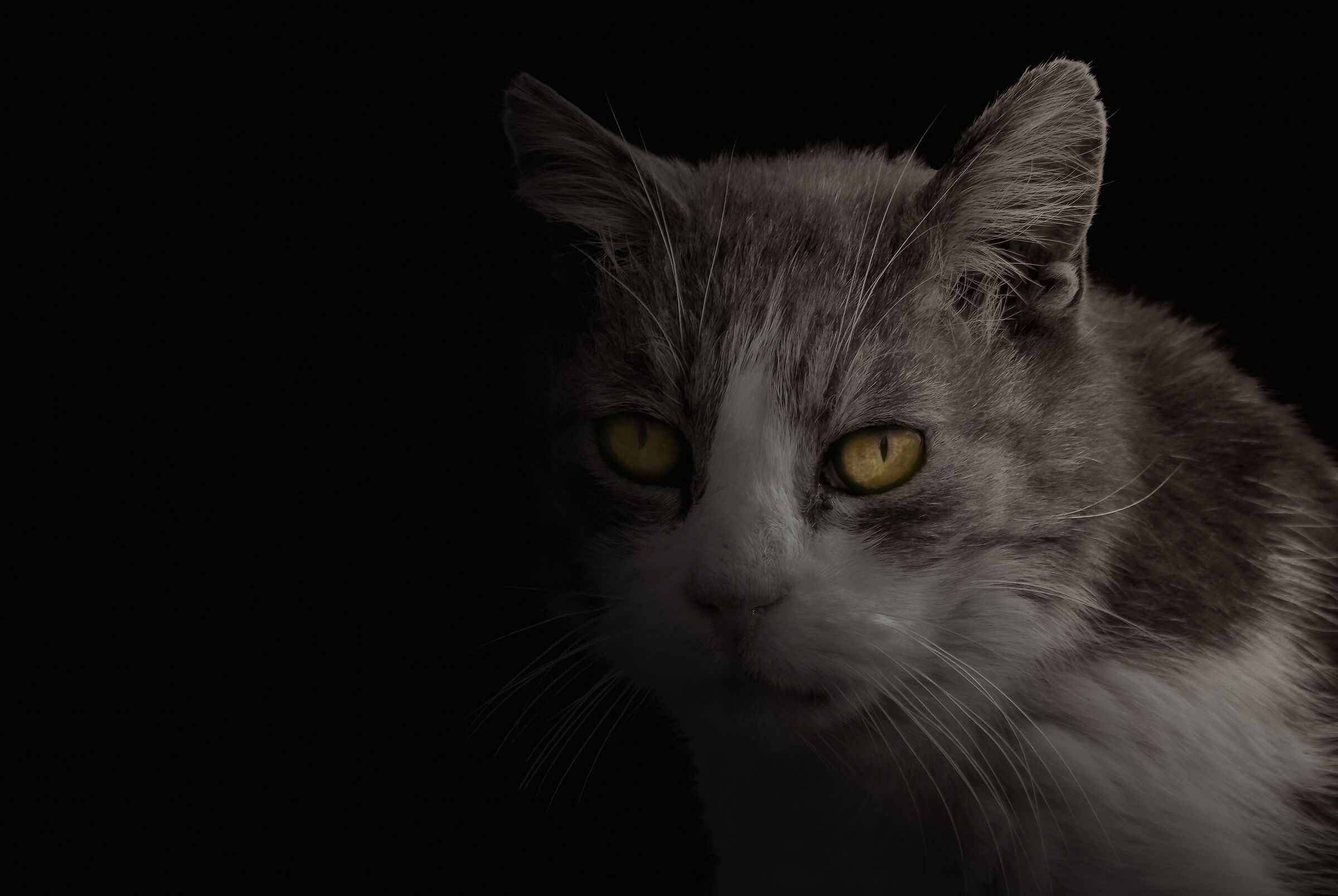 sguardi nelle tenebre