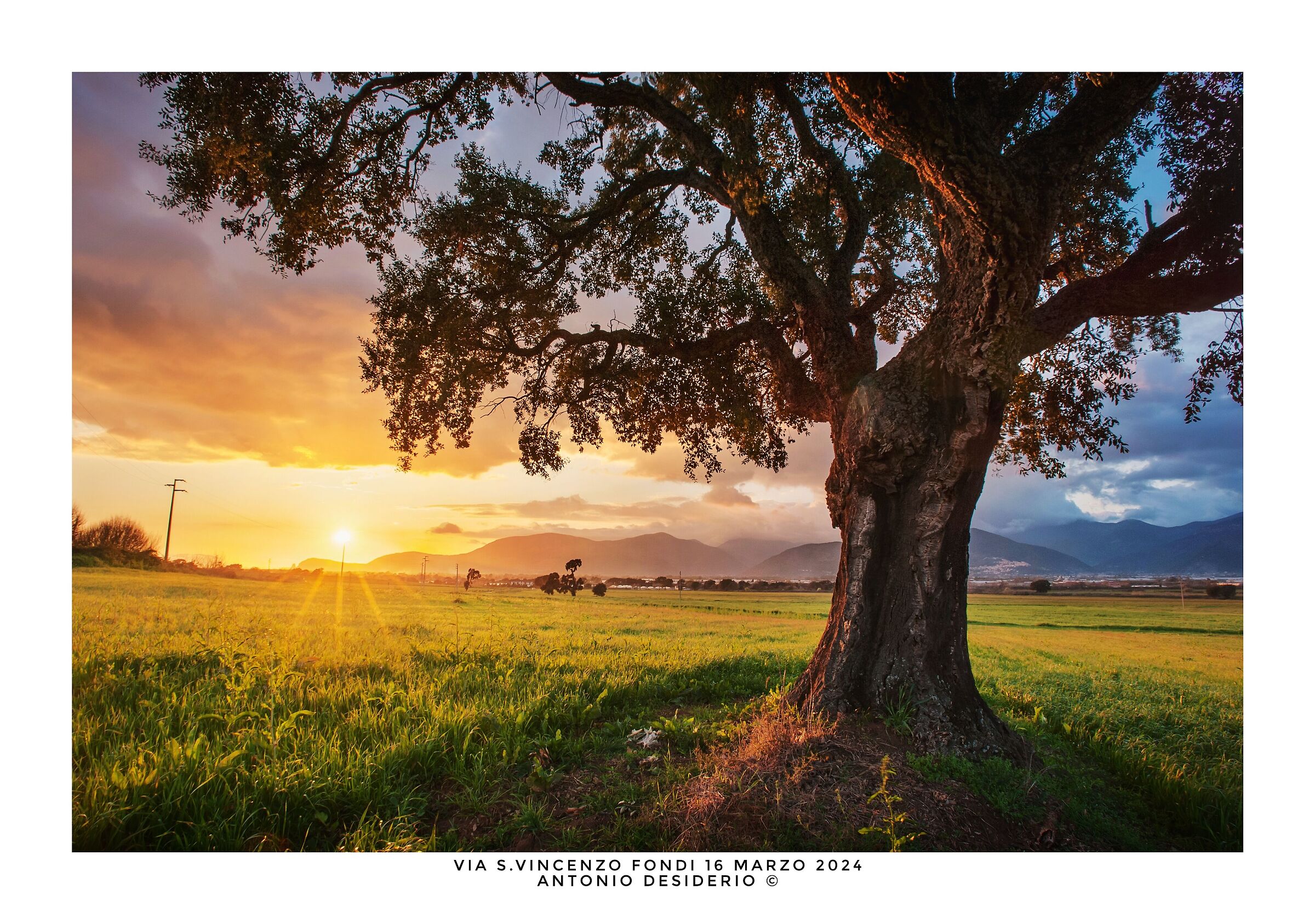 In the shadow of the last sun.