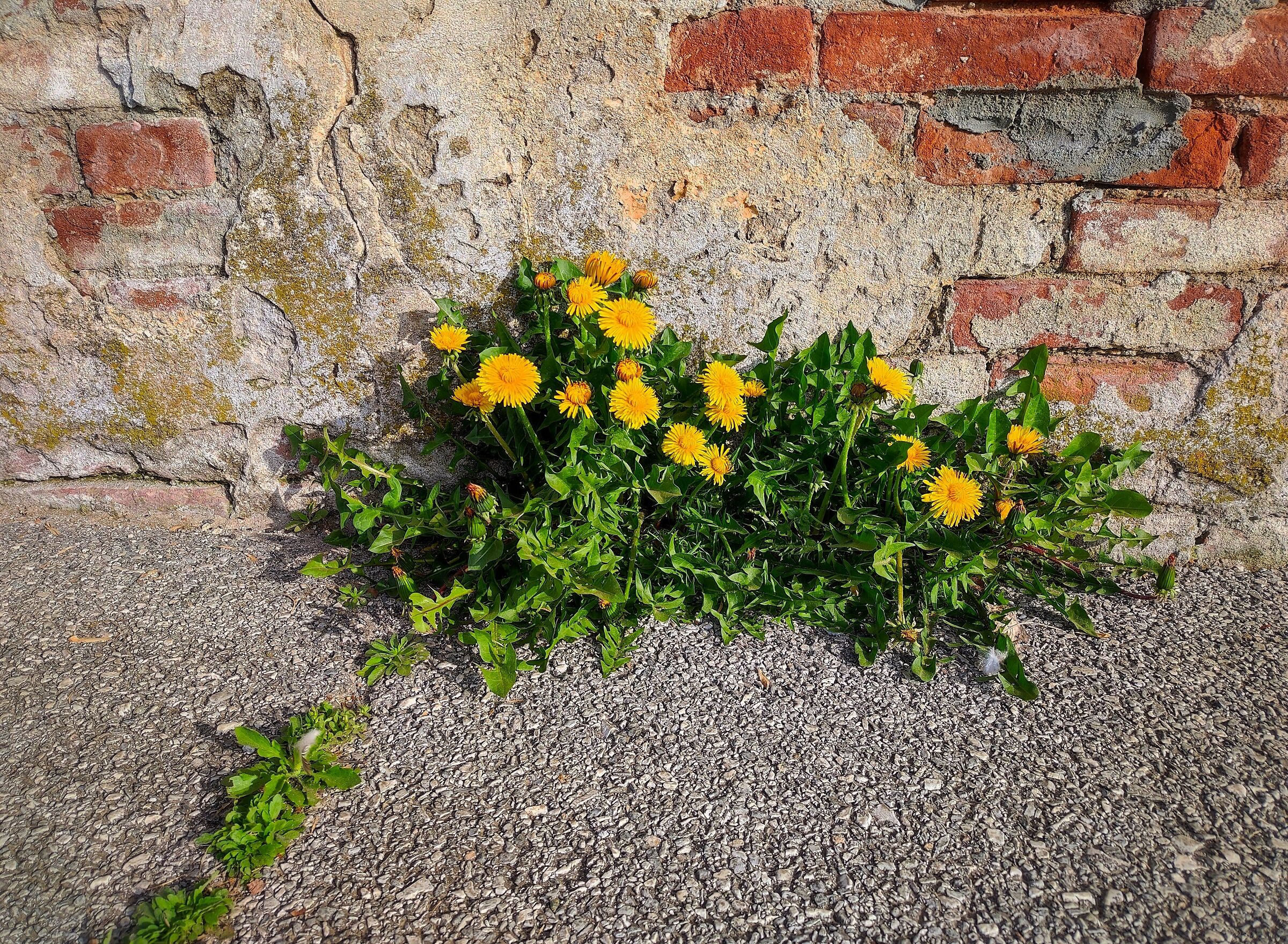 Spring is making its way