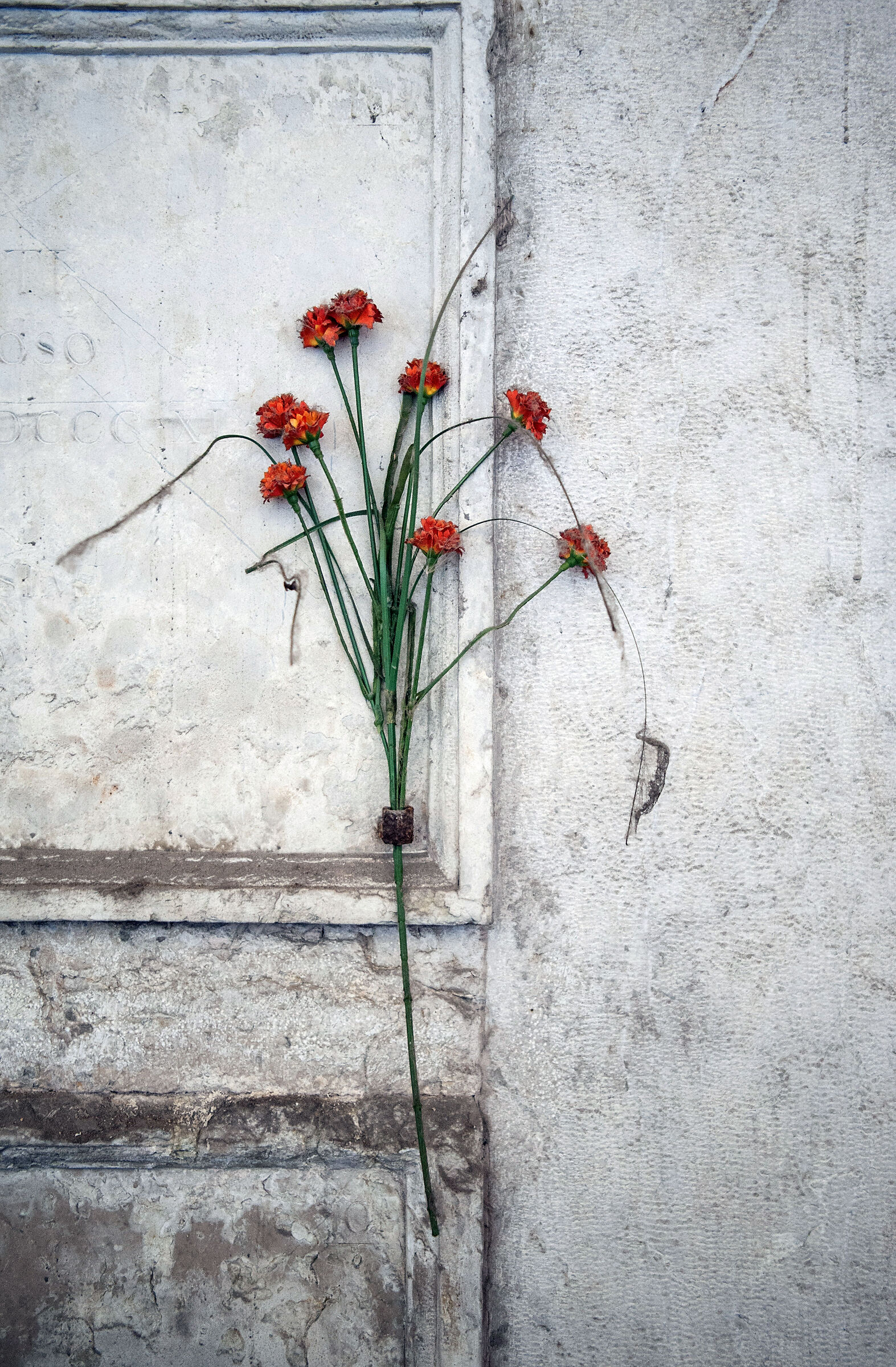 Still Life and... Buried