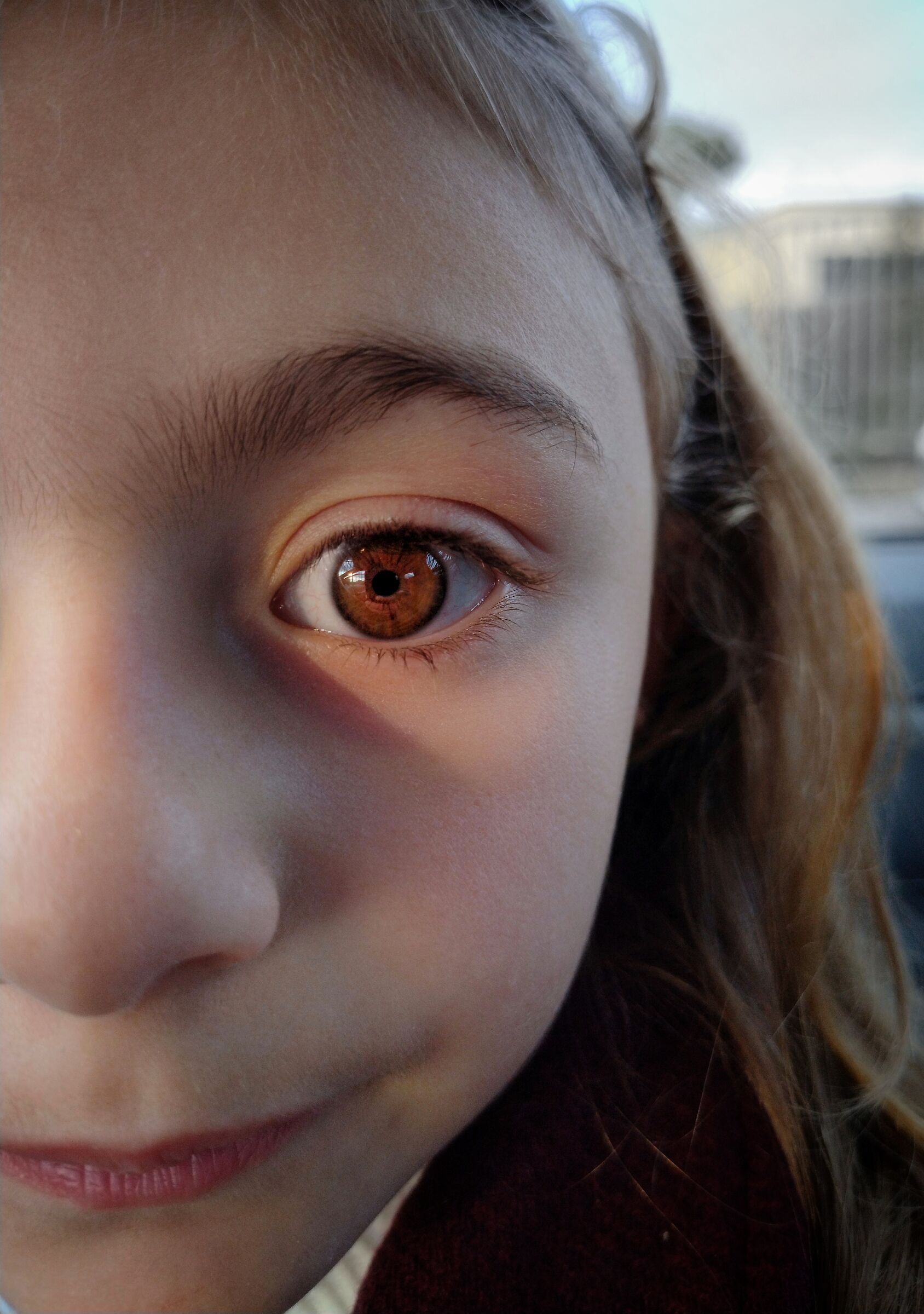 Eyes that know how to look