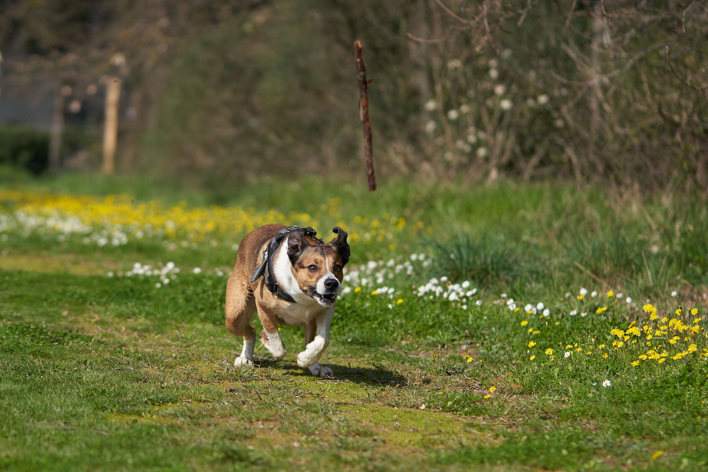 Take the stick, come on.....
