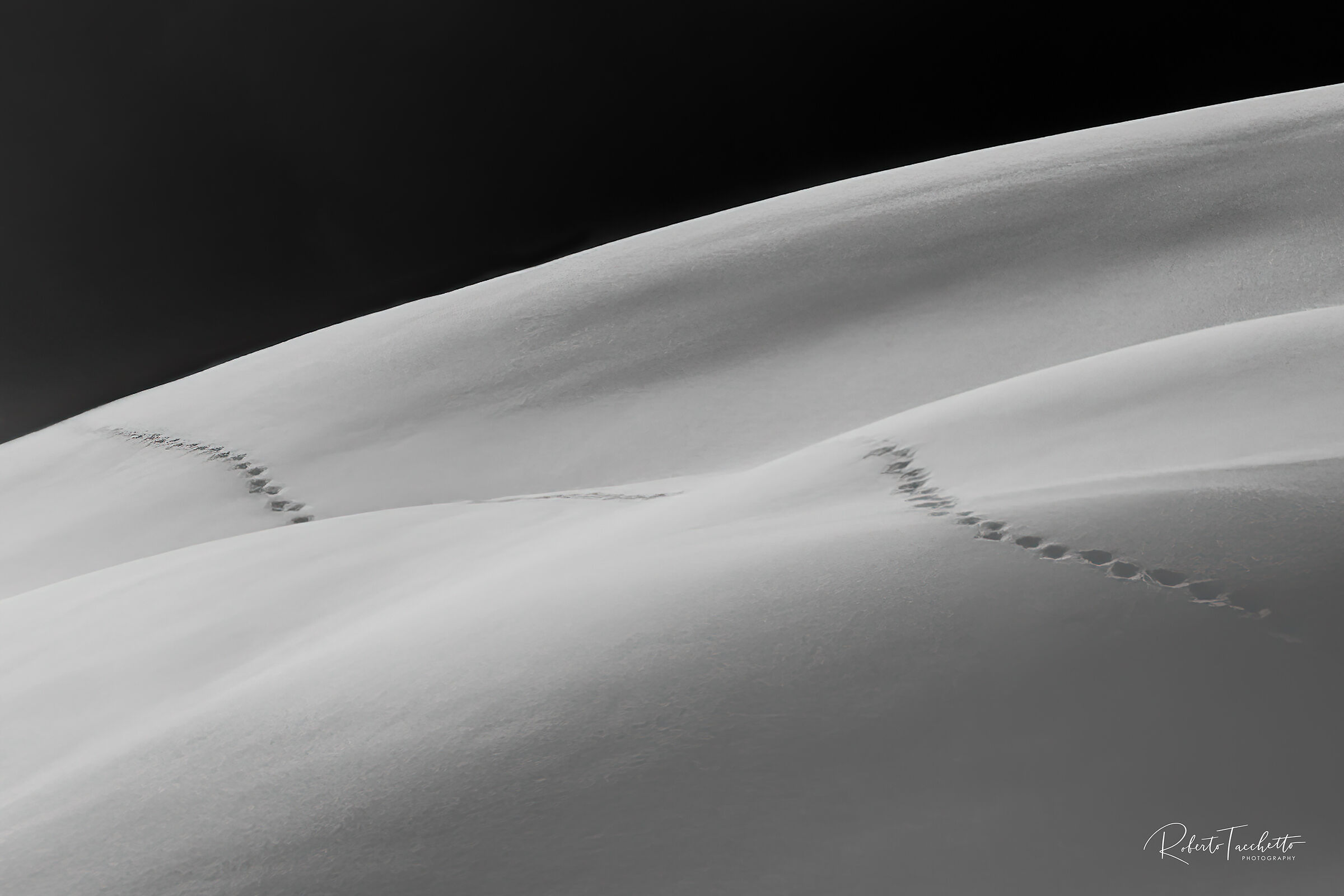 The Way