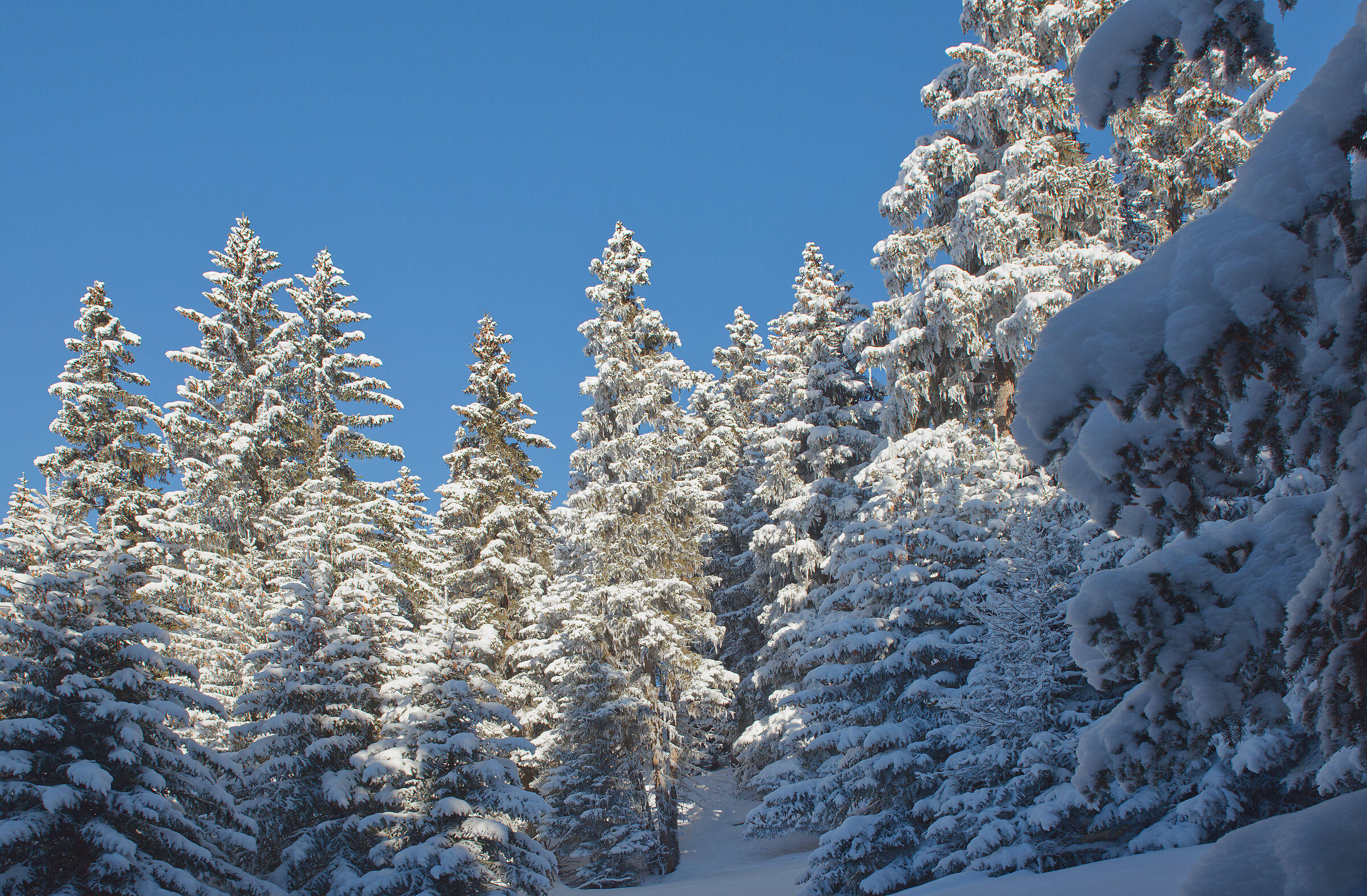 Val d'Aosta febbraio 2017