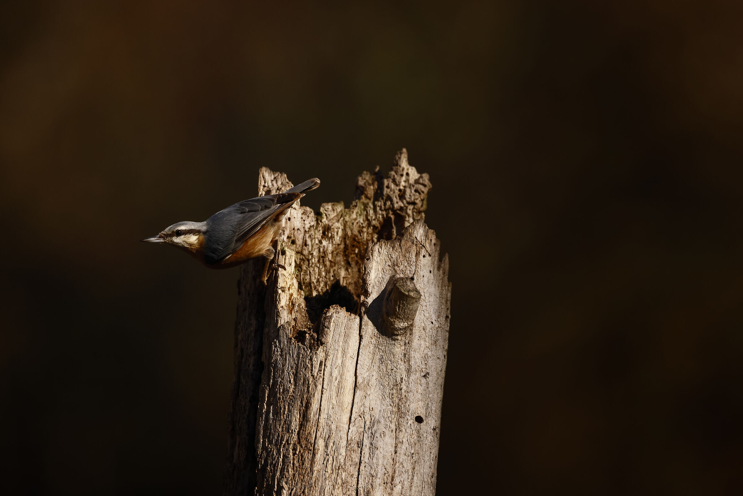 One step away from take-off