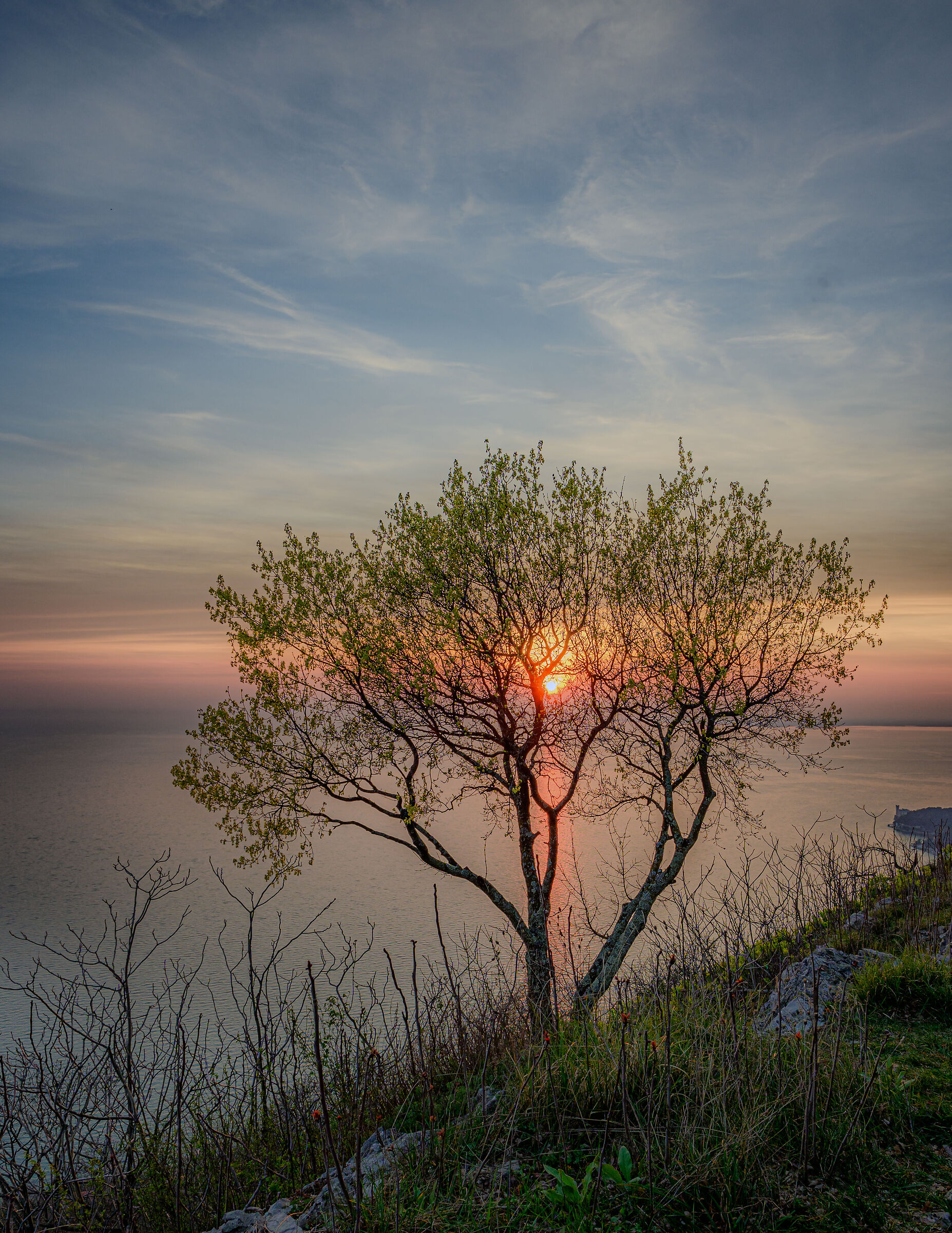The peace of solitude
