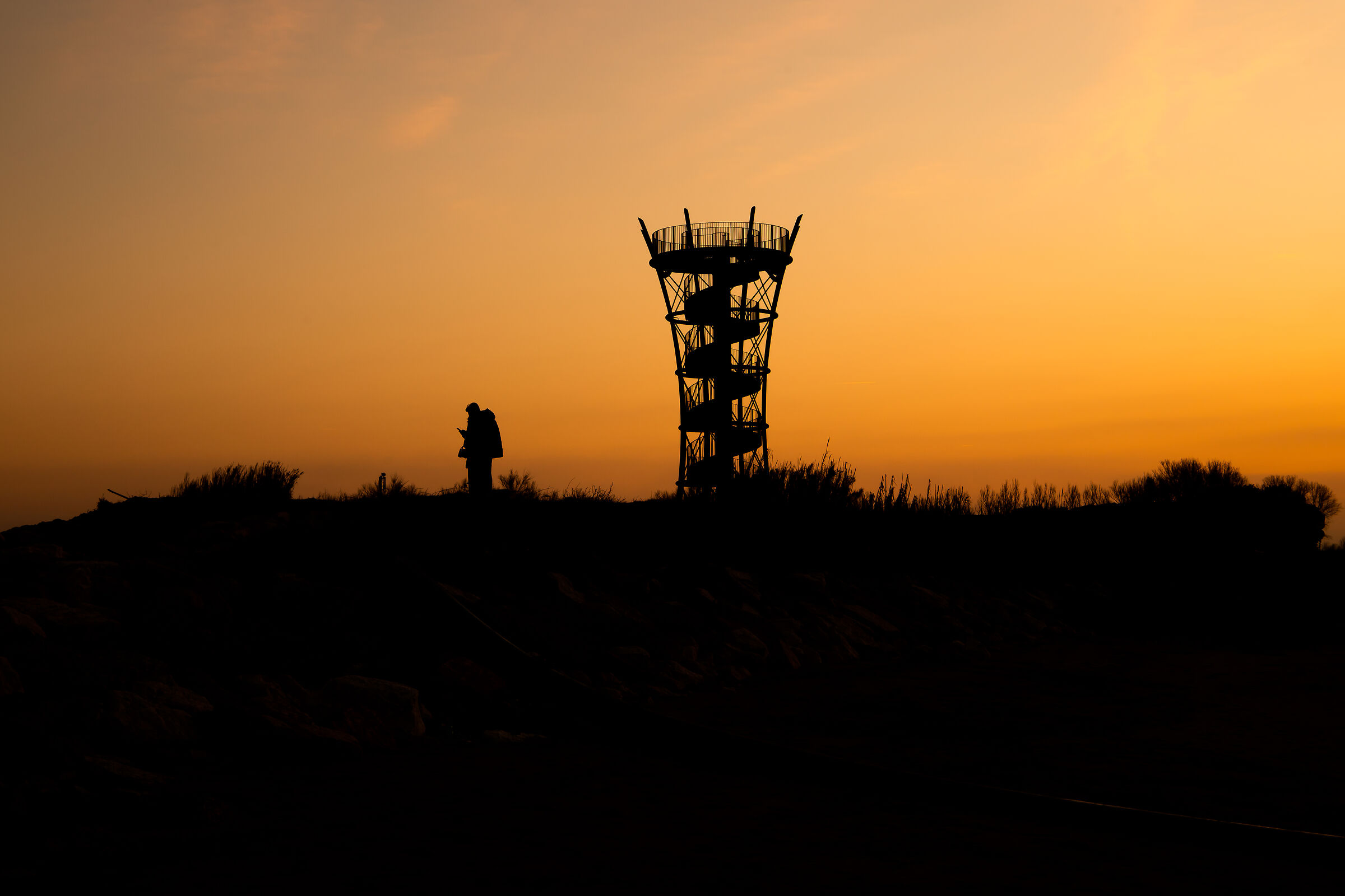 silhouette a rosolina mare