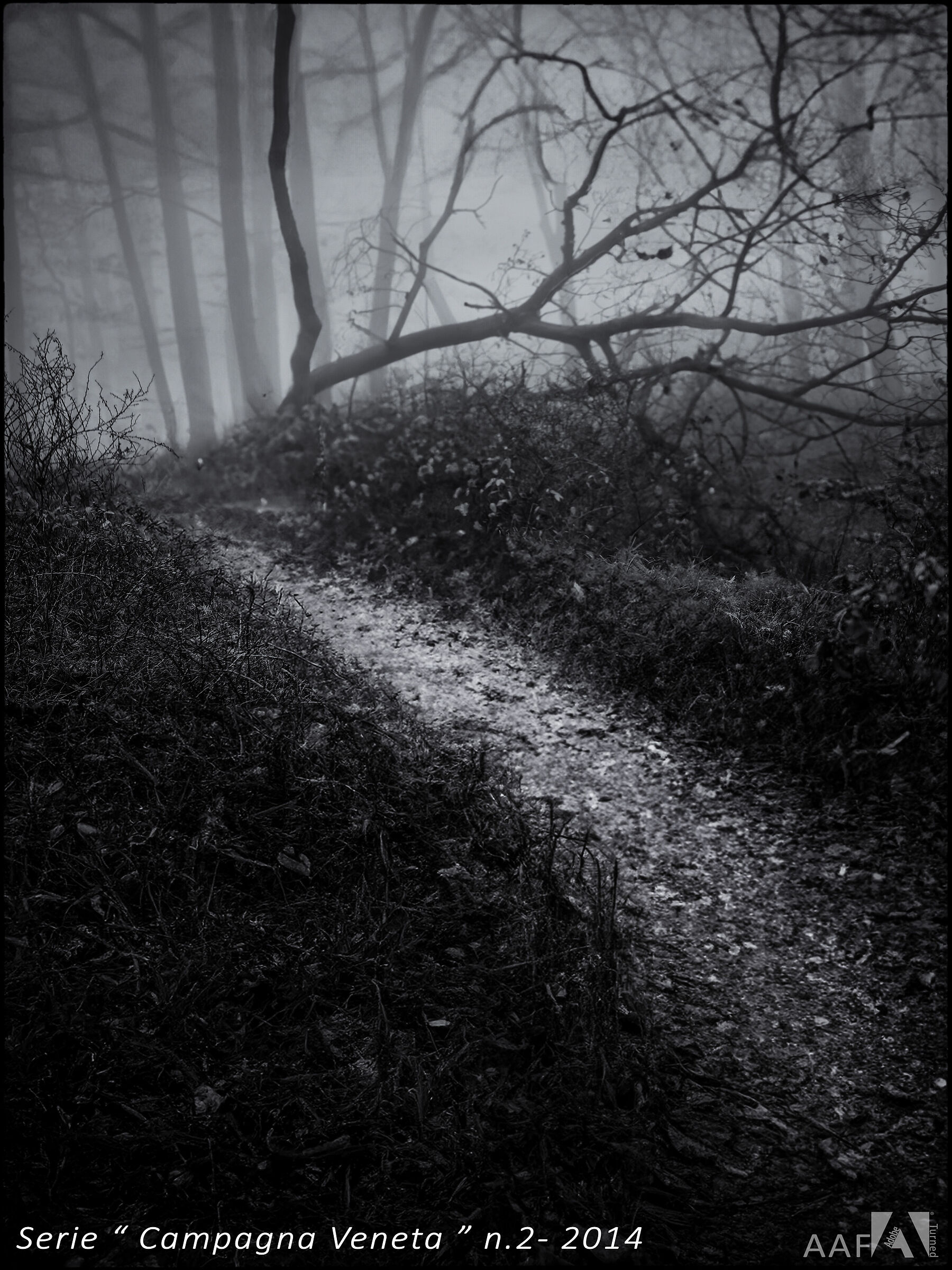 Campagna Veneta n.2-2014