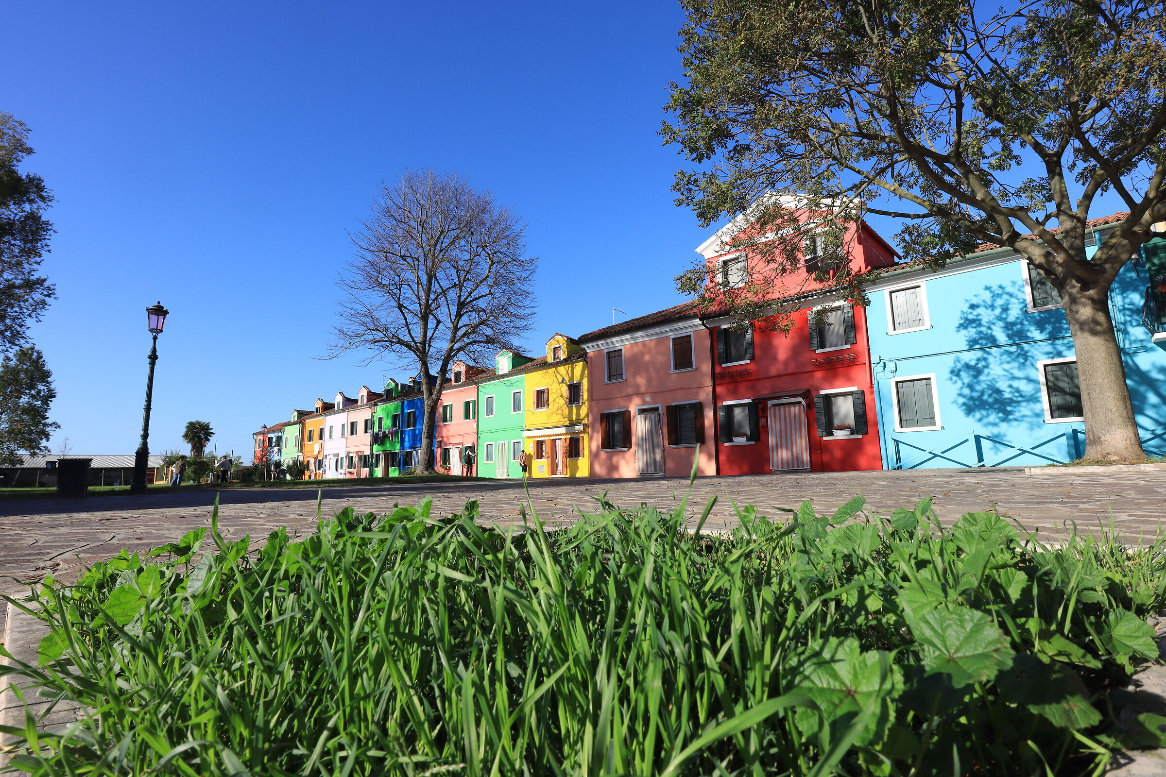 Burano in green