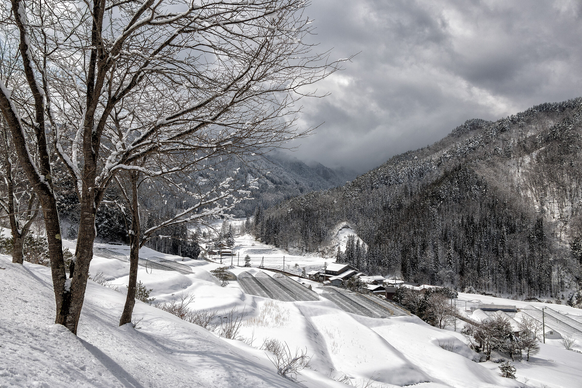 Hida Furukawacho Unehata