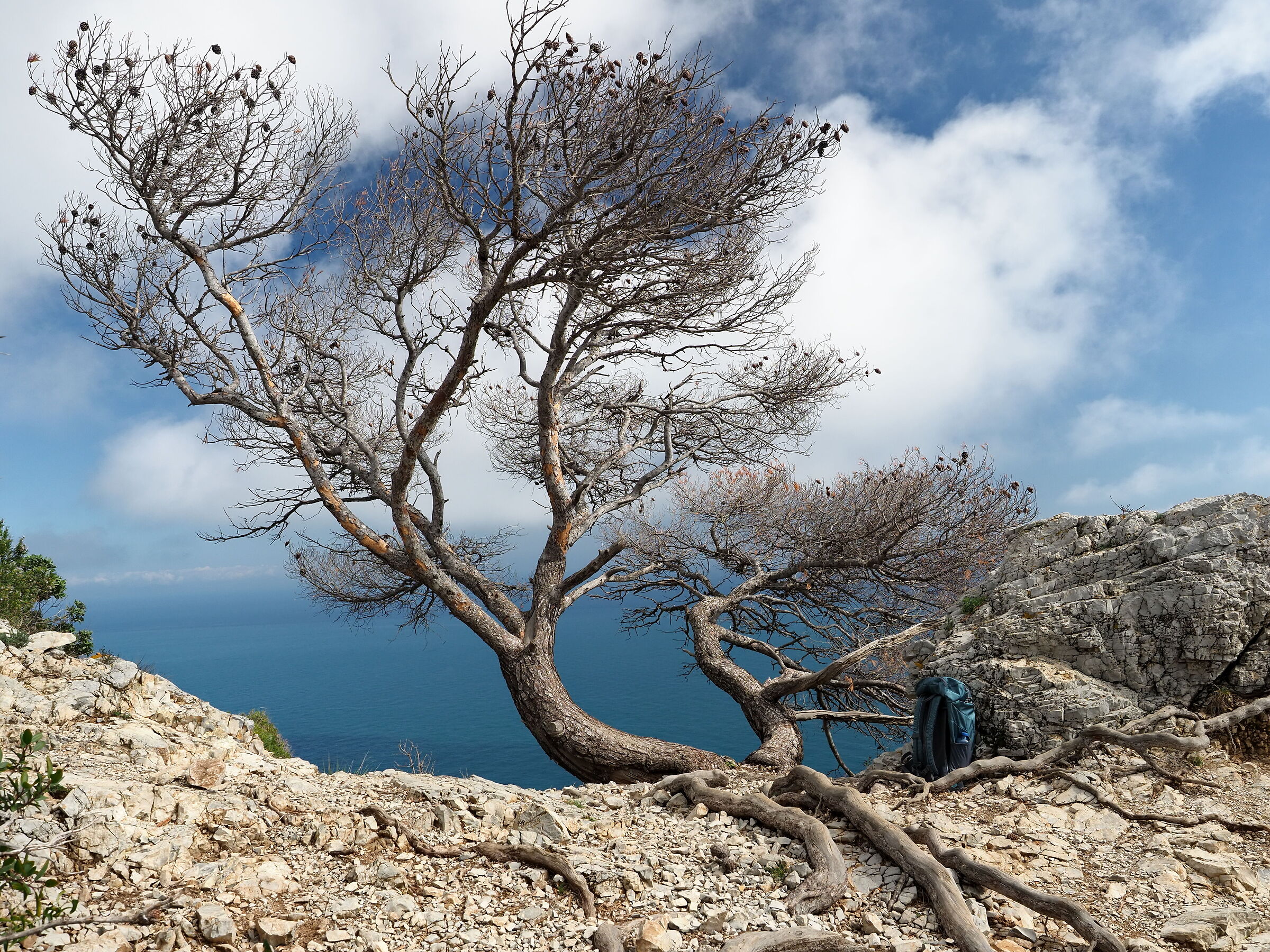 La forza della natura