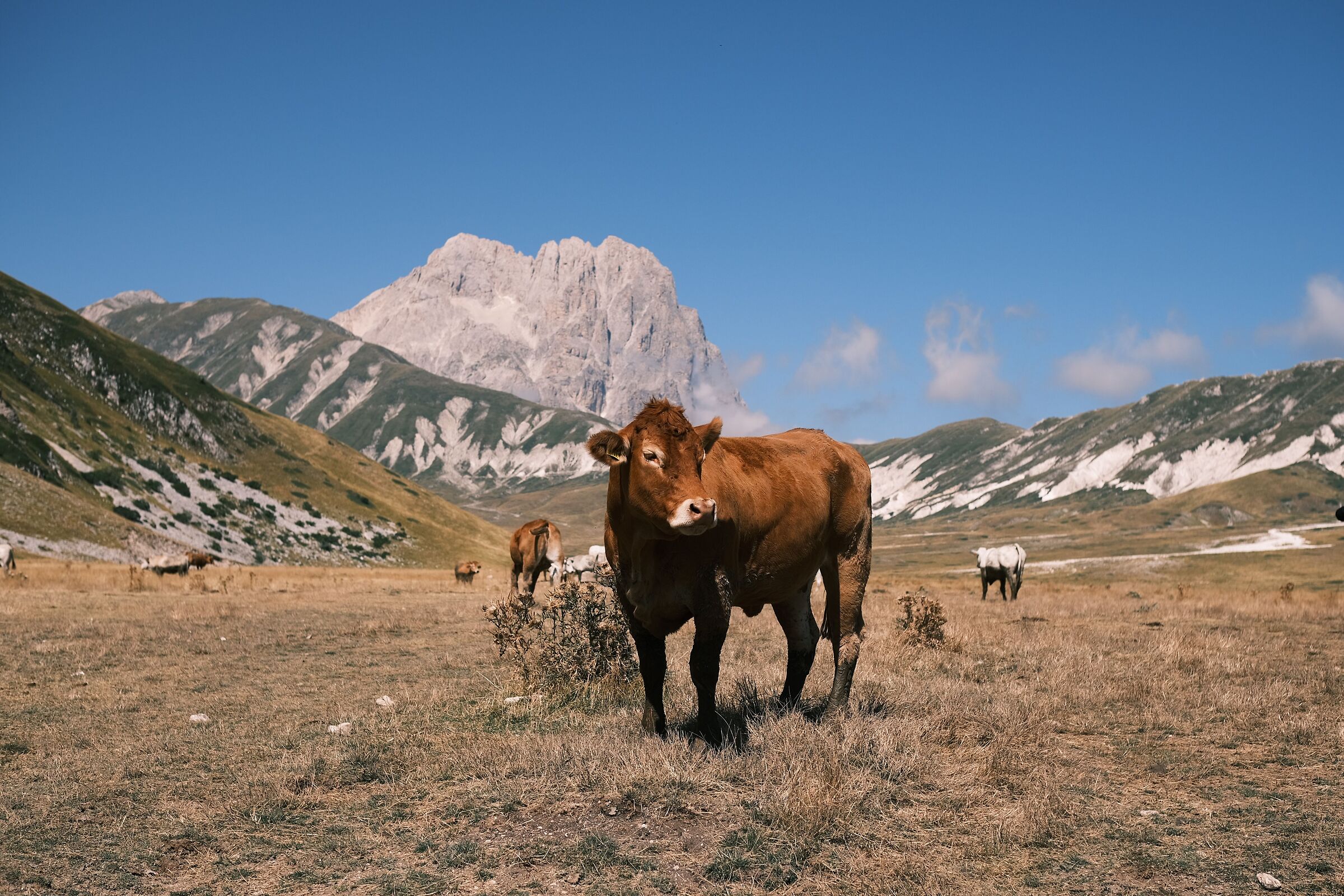 Gran Sasso