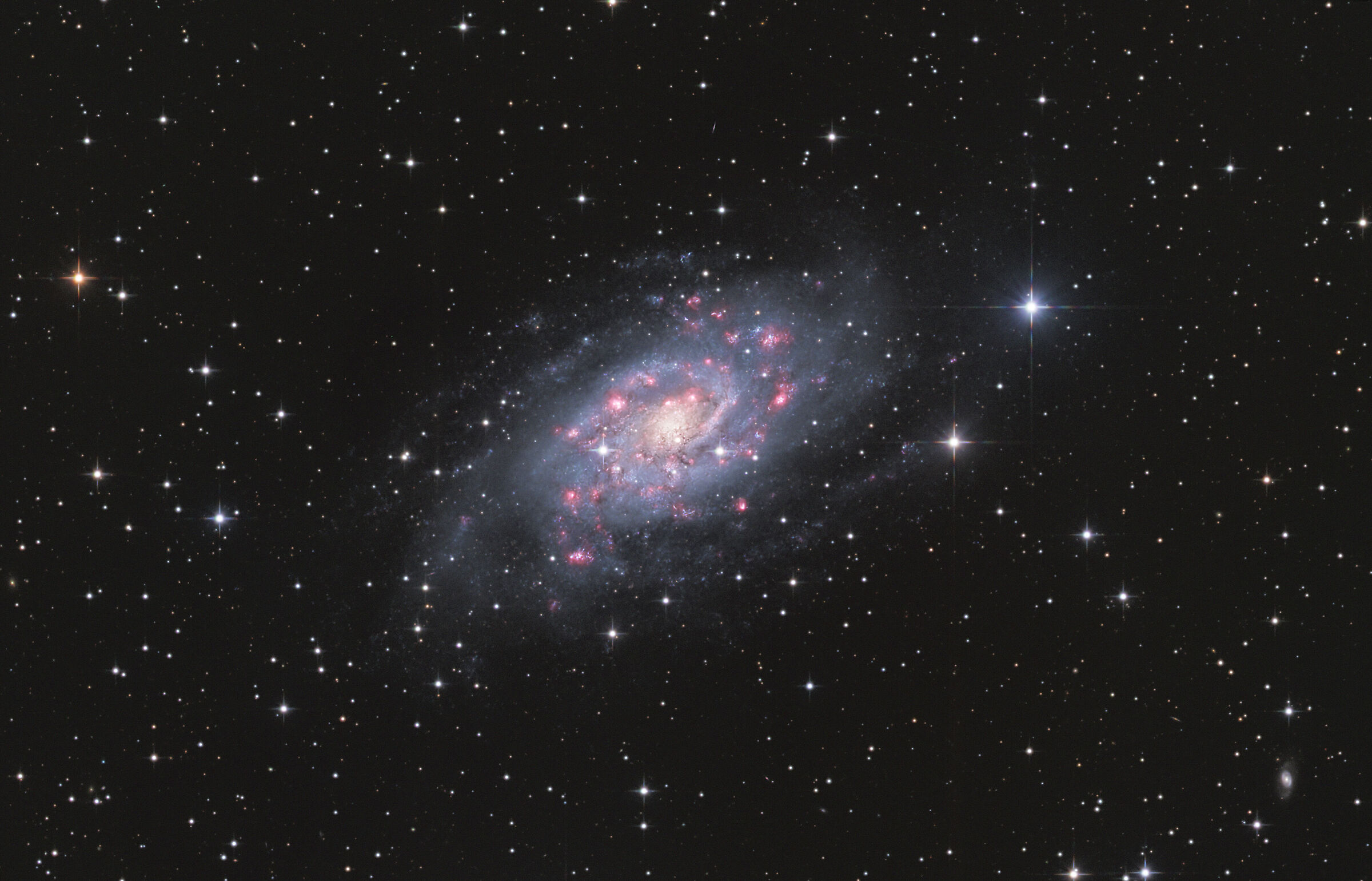 NGC 2403