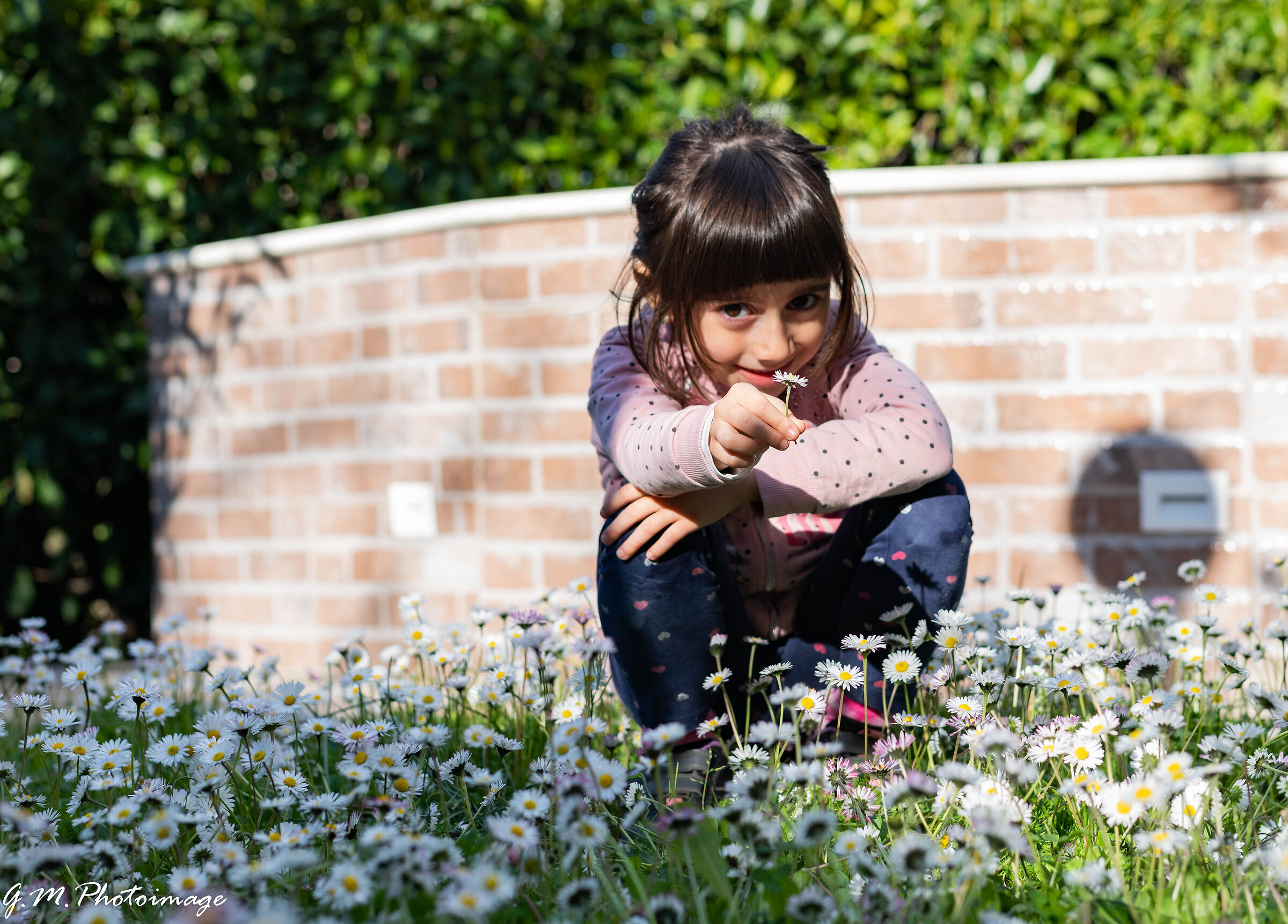 I'll give you a daisy